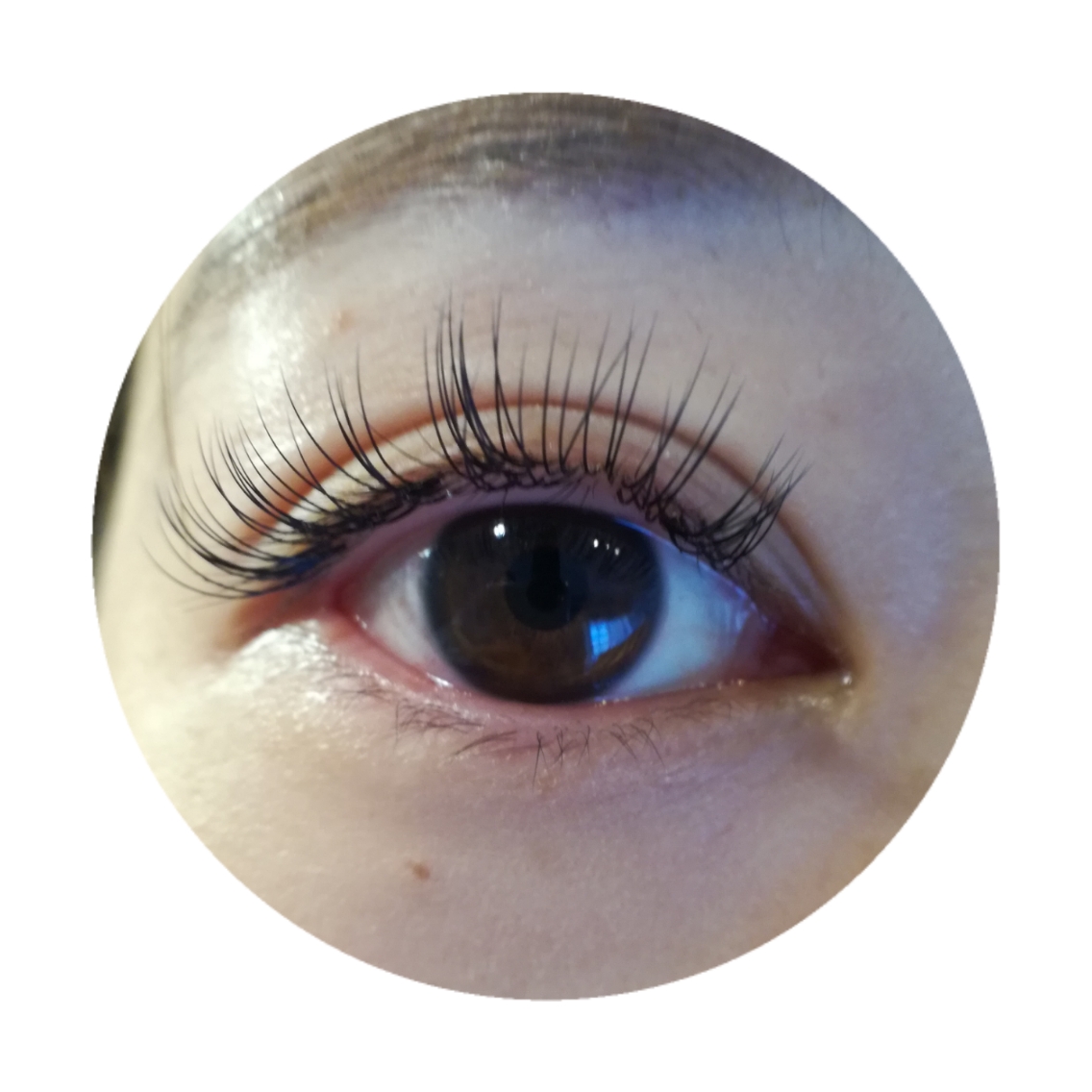 Eyelash Citrusのマツエクサロン スタッフ情報 Eyelash Citrus ミニモ