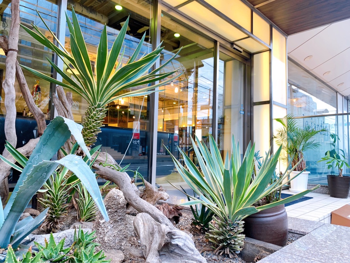 Le Jardin 古淵店の美容室 美容院 スタッフ情報 青木 茂樹 透明感カラー ミニモ