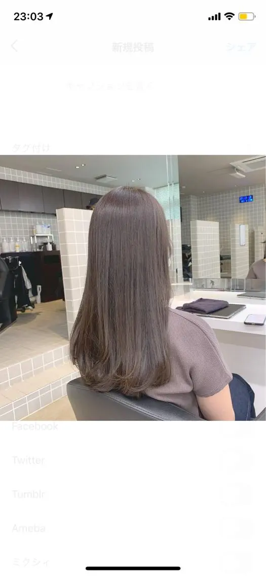 ロング カラー ヘアアレンジ アッシュ ベージュカラー ブリーチ ブリーチなしカラー 美髪矯正/透明感カラ ー🫧YUUKI🫧のヘアスタイル