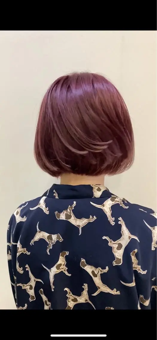 ショート カラー ヘアカラー 美髪改善・レイヤー tadasuke⭐️のヘアスタイル