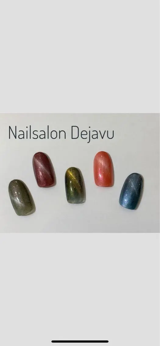 ネイル マグネットネイル Nail salon Dejavu 🌿のネイルデザイン