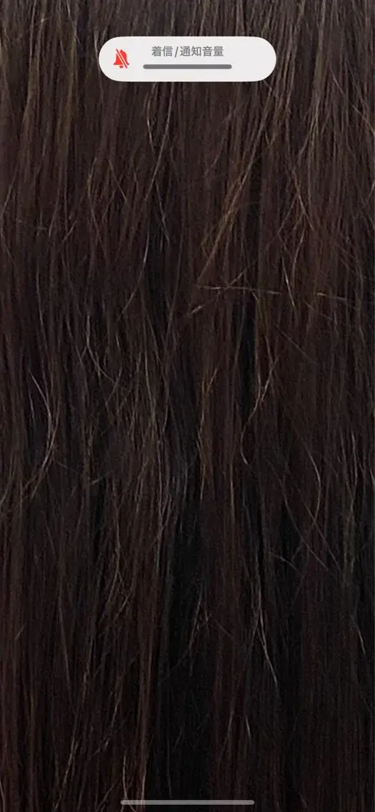 セミロング カラー ブラウンカラー レッドカラー レッドブラウン カットモデル募集中 ✂️/平城秀馬/原宿のヘアスタイル