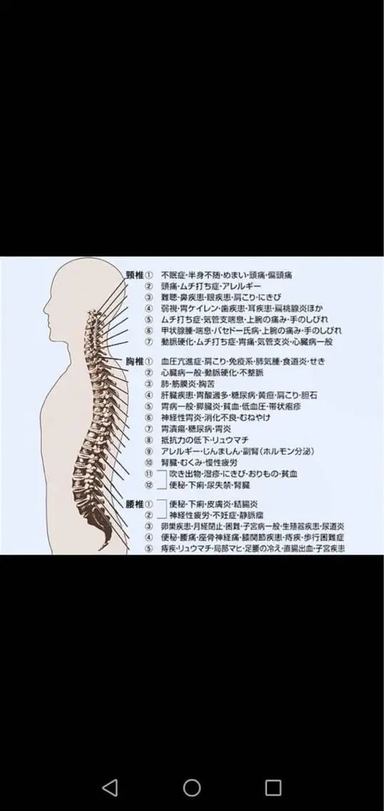 骨盤矯正　SA ゆかりのエステ・リラクイメージ