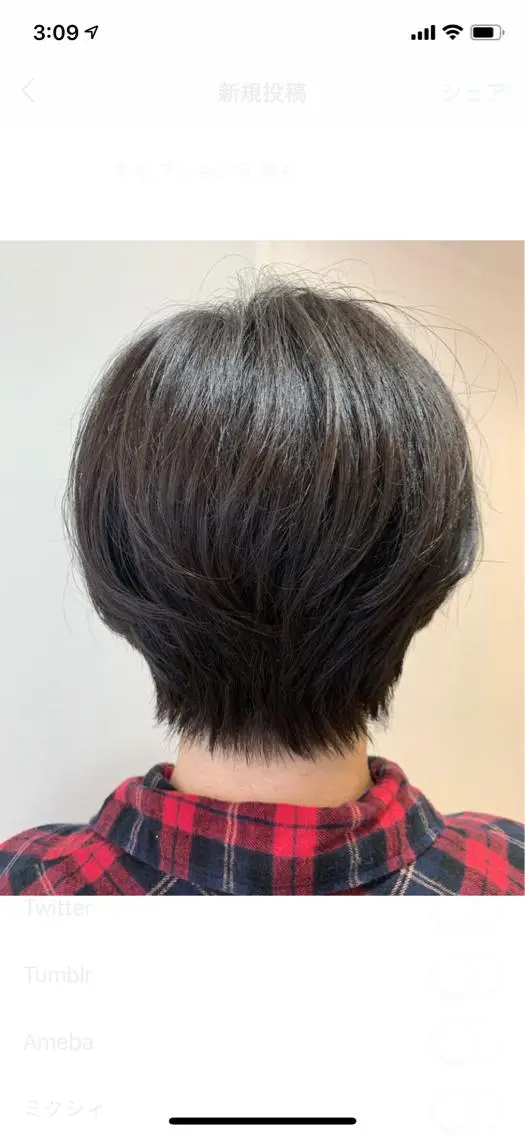 ショート カラー ブリーチ グレージュ ブリーチなしカラー ショートヘア box mico. mutsumiのヘアスタイル