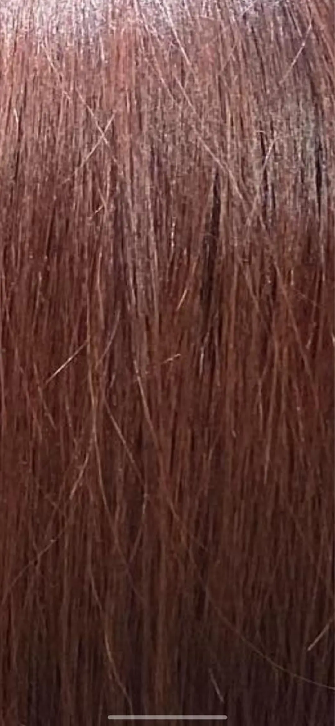 ショート ピンクブラウン カットモデル募集中 ✂️/平城秀馬/原宿のヘアスタイル