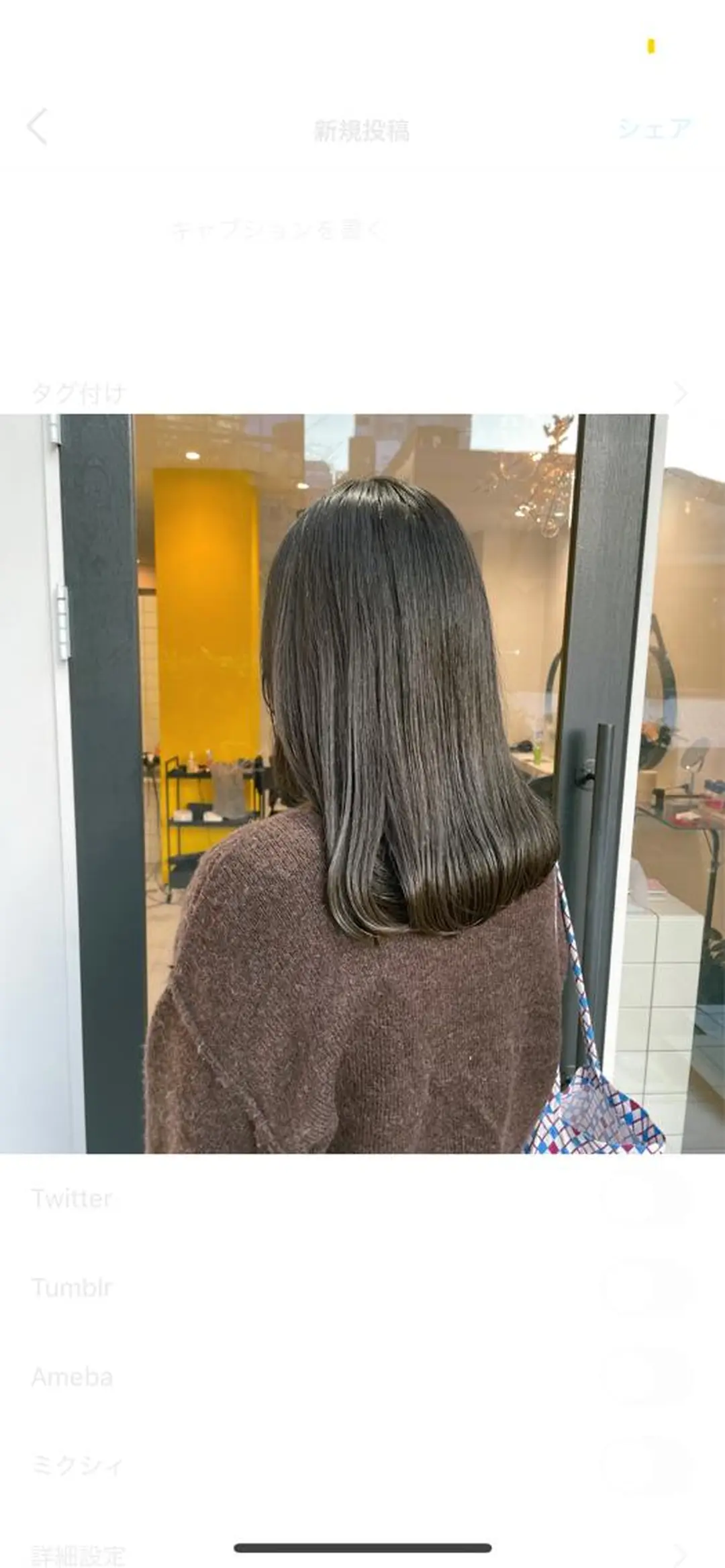セミロング カラー Koto🌿 ブリーチなしカラーのヘアスタイル