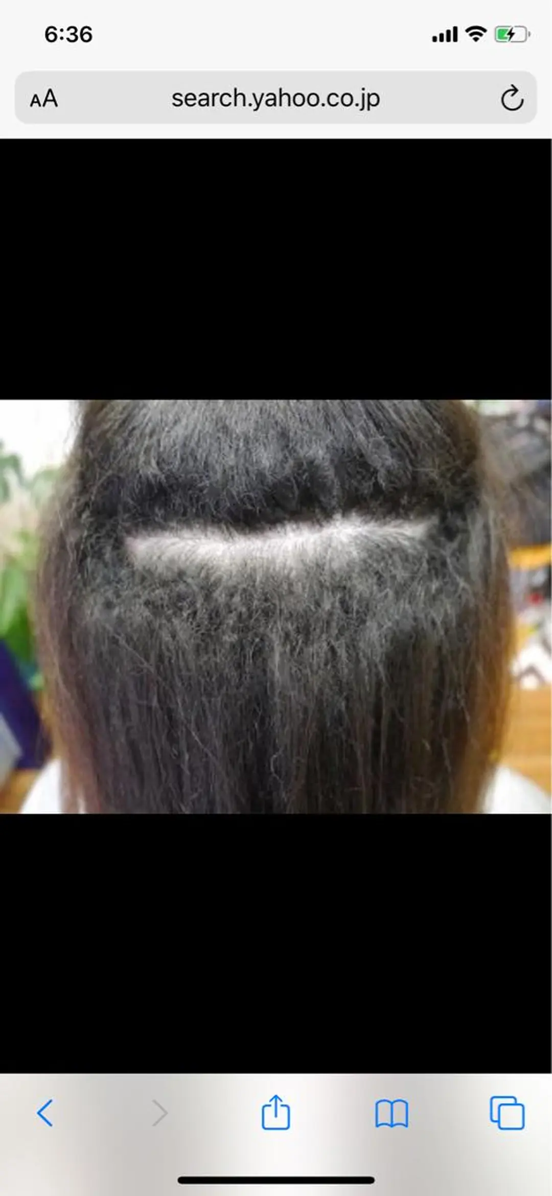 セミロング 渡邊 健一のヘアスタイル