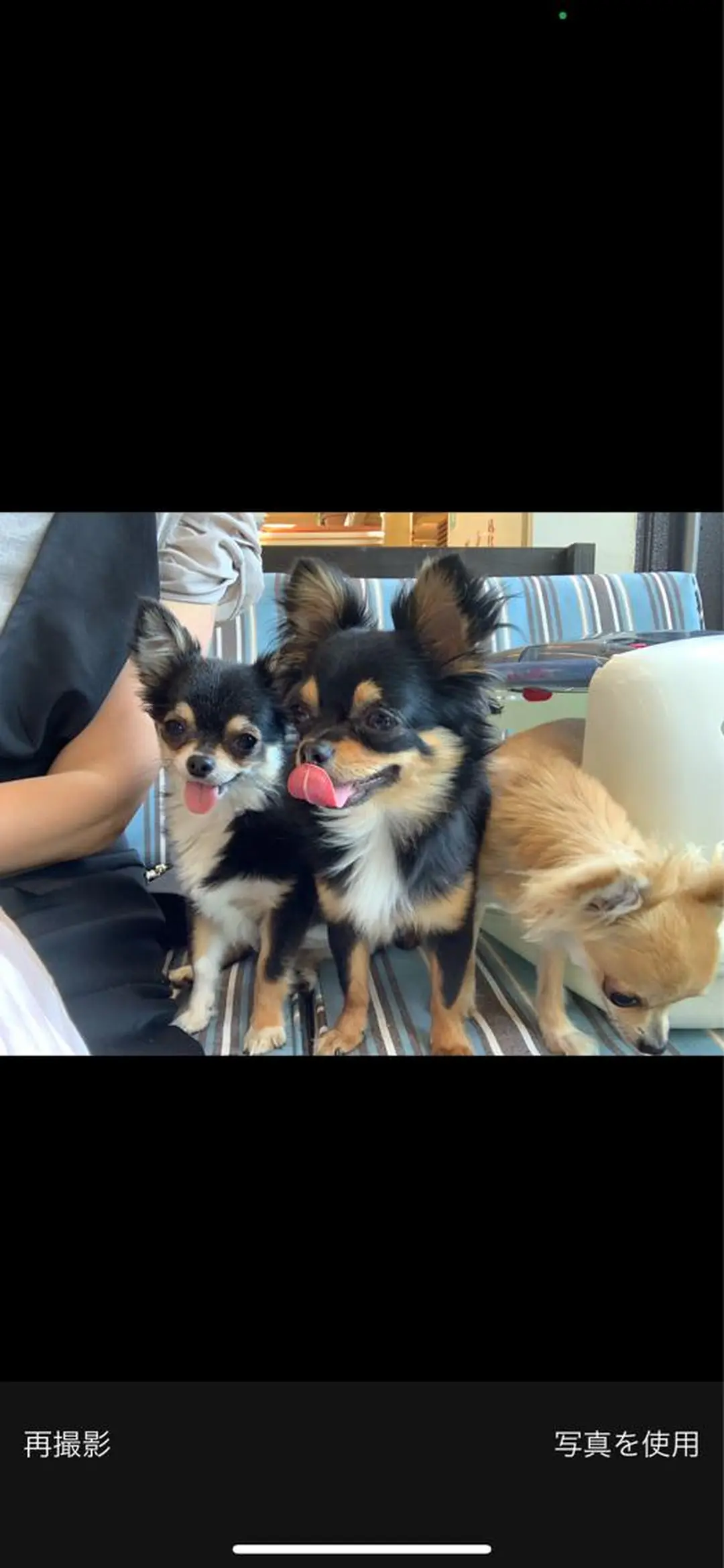 ネイル CIEL ☺︎のネイルデザイン