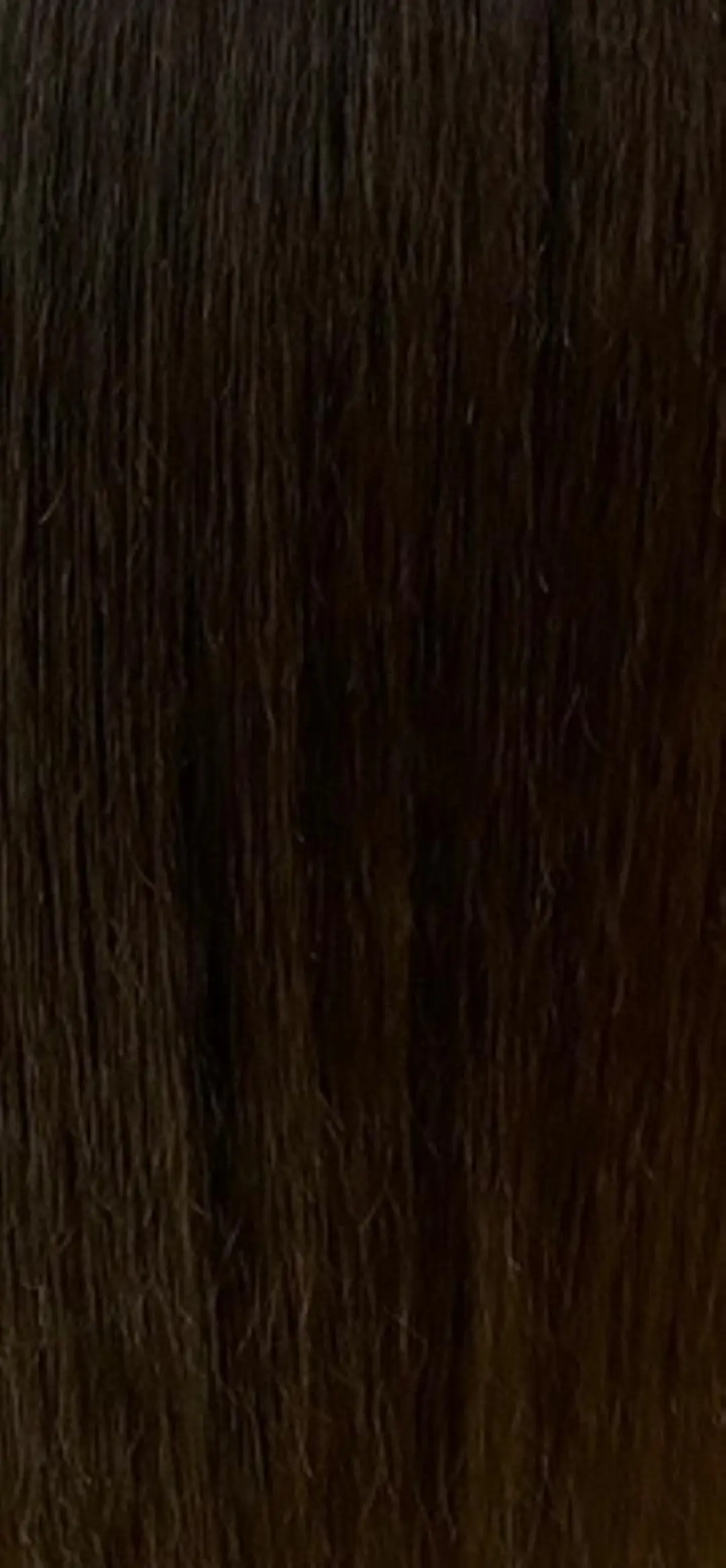 ロング カラー ブラウンカラー マットブラウン カットモデル募集中 ✂️/平城秀馬/原宿のヘアスタイル