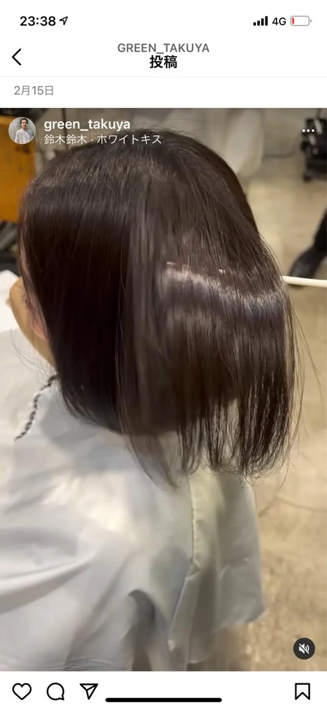 ショート カット 縮毛矯正 トリートメント 🦋透明感カラー /ケアブリーチ🦋のヘアスタイル