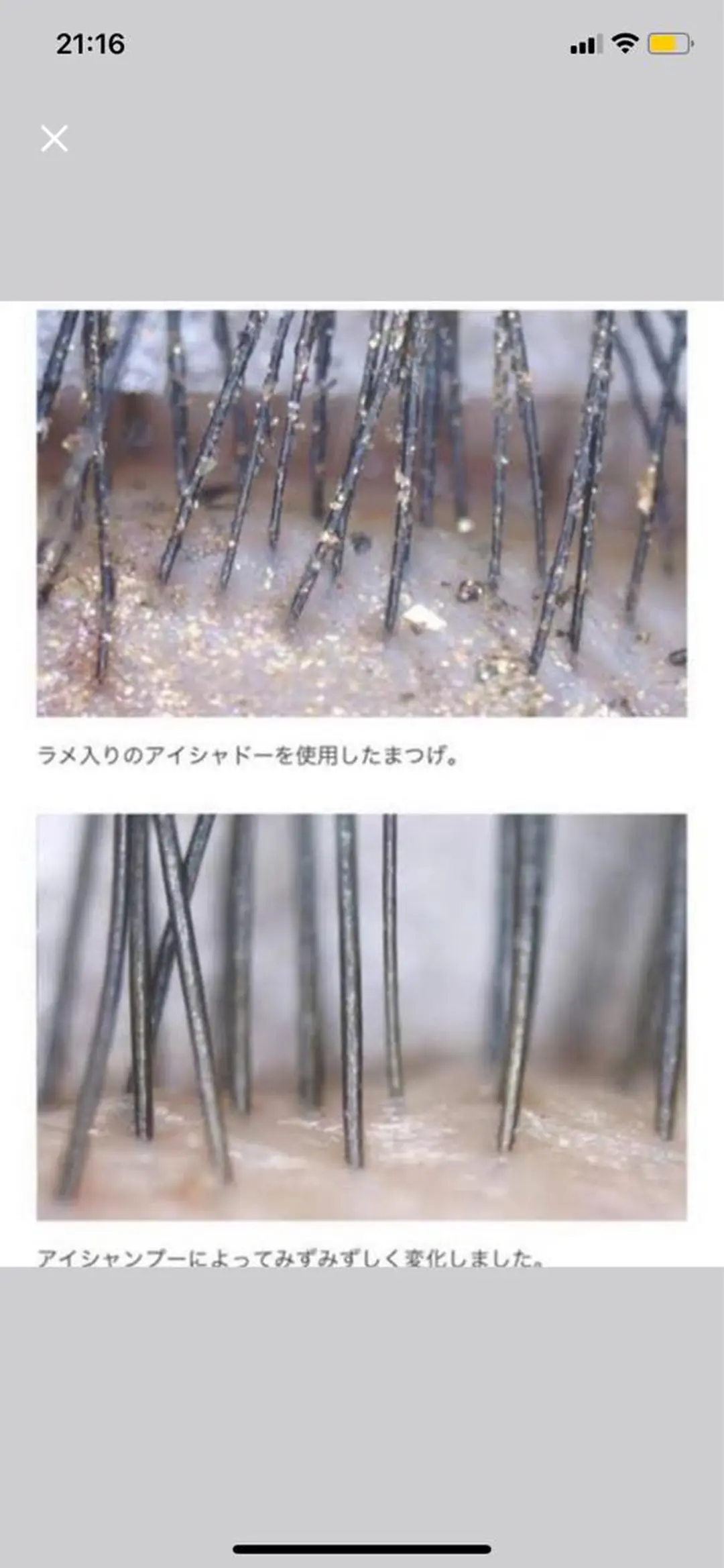 マツエク・マツパ Lupines海老名 🌻YU-KAのマツエク・マツパデザイン