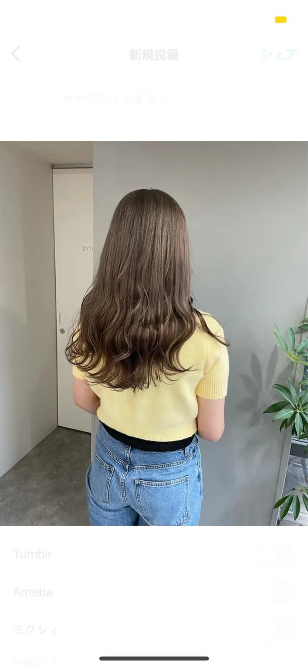 ロング ヘアカラー ♡透明感/艶カラー/ M a I ♡のヘアスタイル