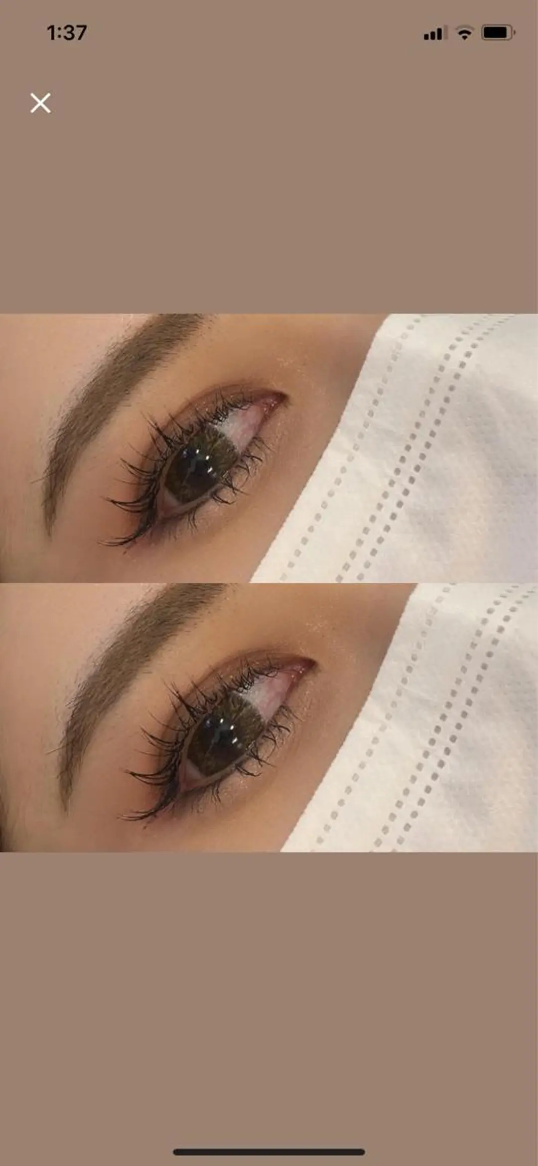 マツエク・マツパ 【個室サロン】🎀 美容師&アイリストのマツエク・マツパデザイン