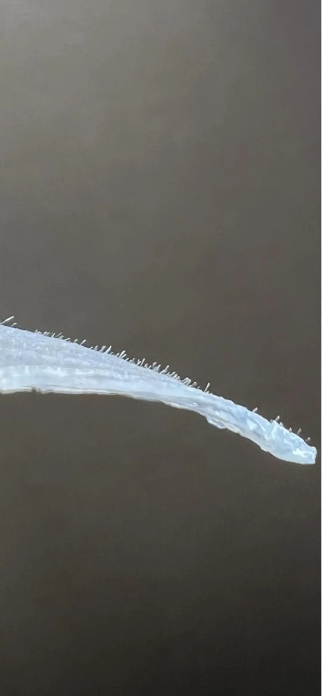 Dimples eyelashのエステ・リラクイメージ