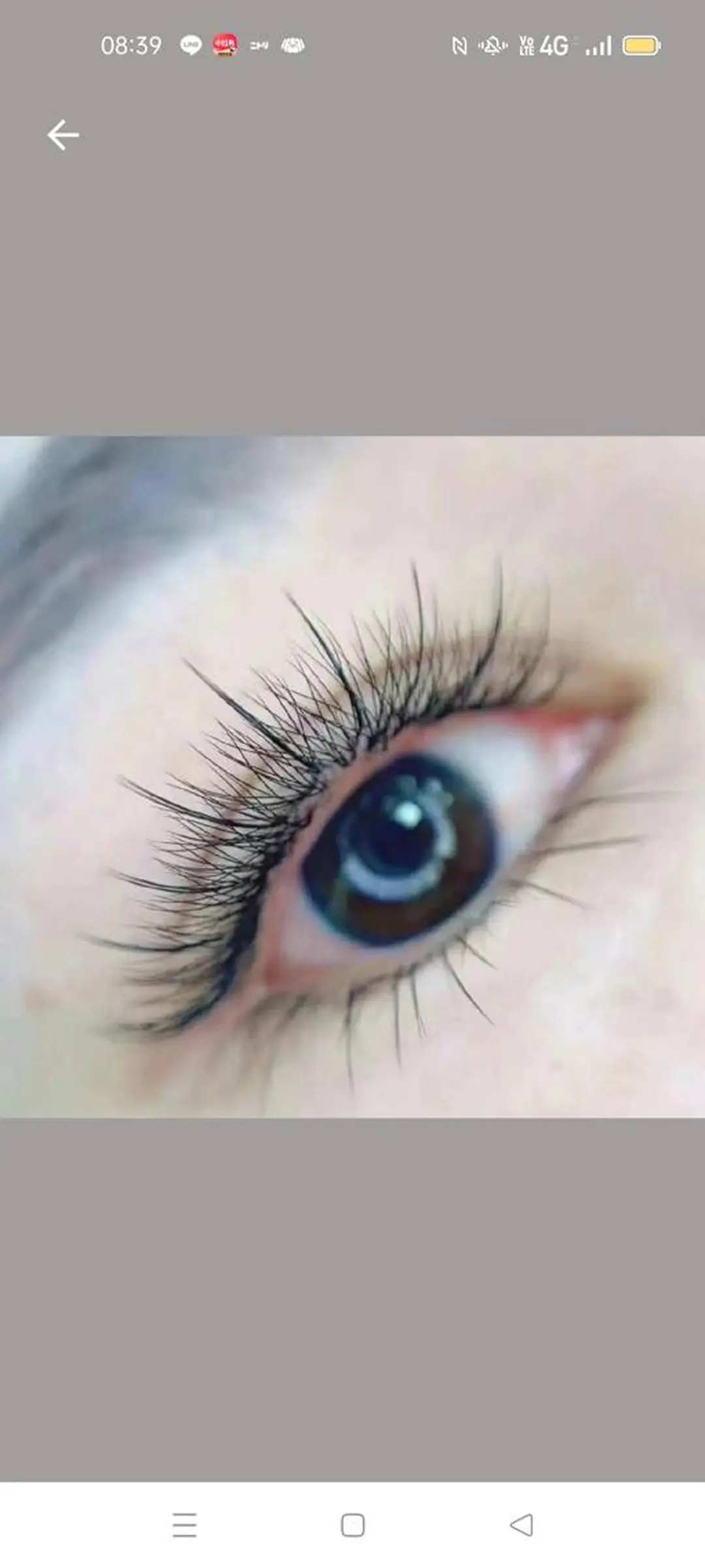 マツエク・マツパ Rian 池袋のマツエク・マツパデザイン