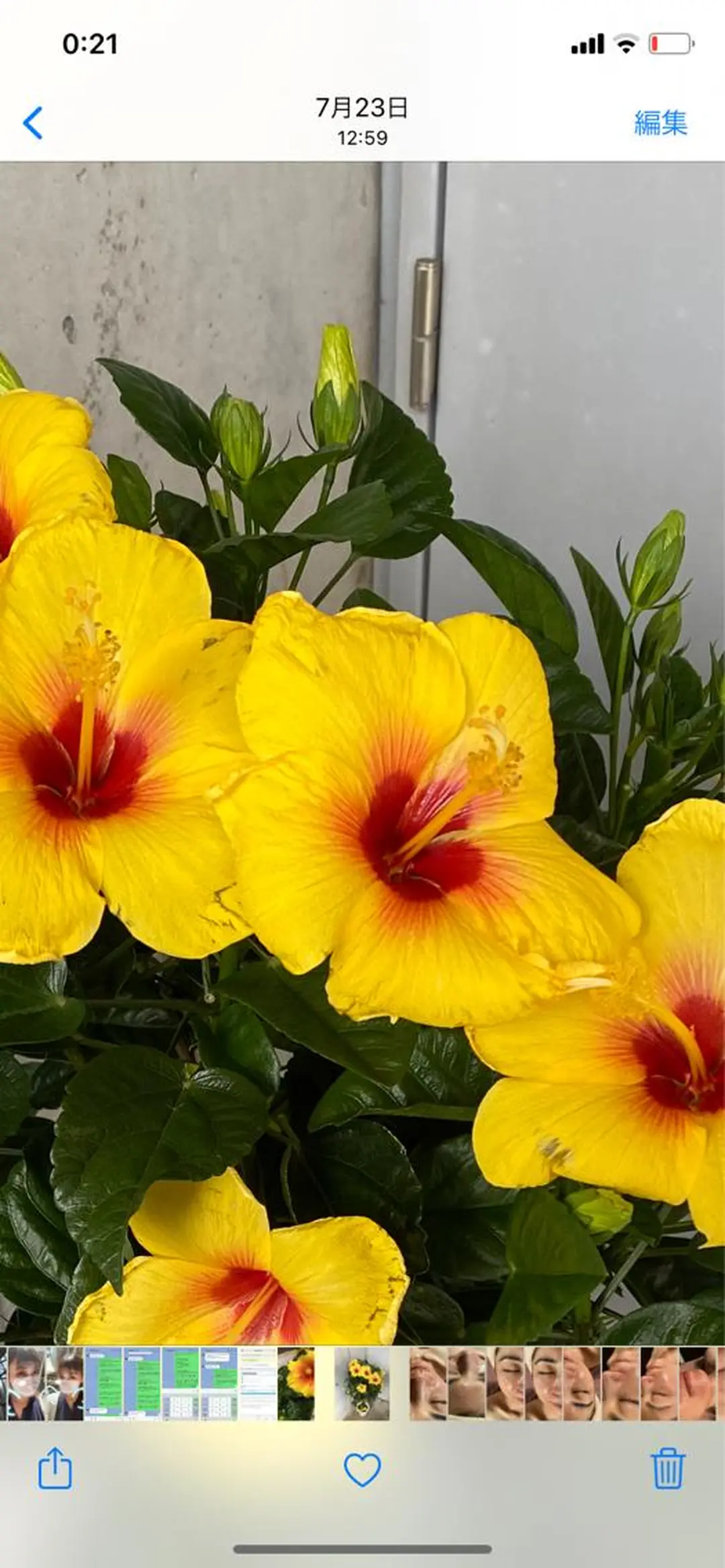 毛穴から始める肌メン テマンダリンオレンジのエステ・リラクイメージ