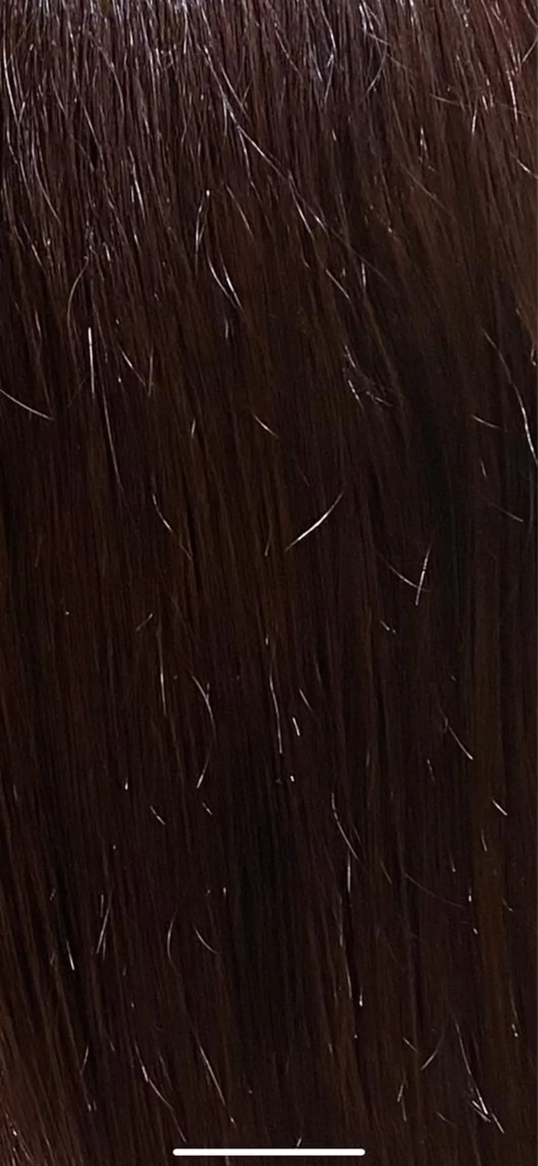 ミディアム カラー ブラウンカラー ピンクカラー ピンクブラウン カットモデル募集中 ✂️/平城秀馬/原宿のヘアスタイル