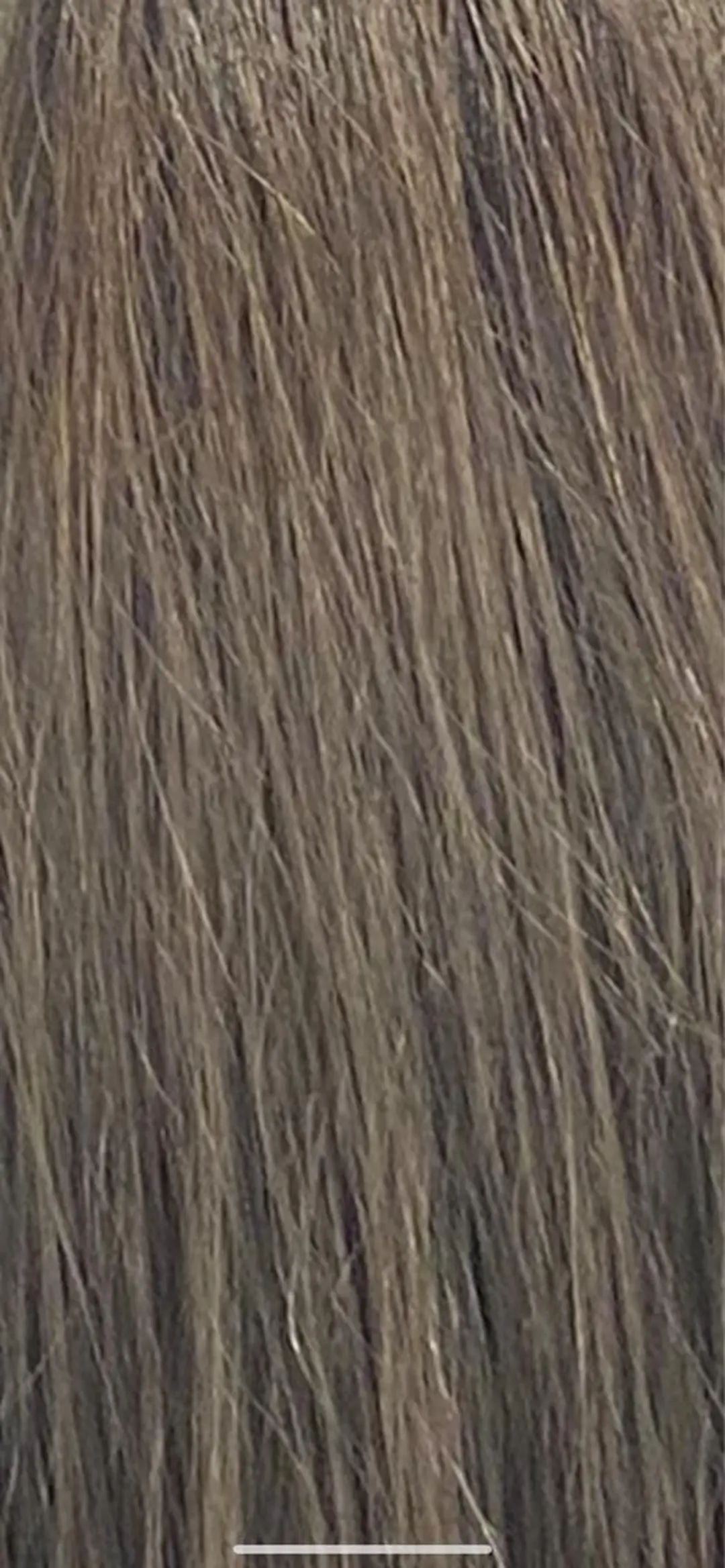 ミディアム カラー ベージュカラー ミルクティーベージュ カットモデル募集中 ✂️/平城秀馬/原宿のヘアスタイル