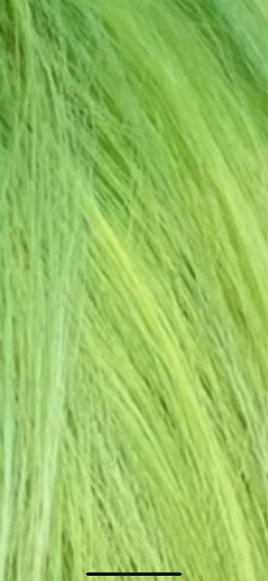 ショート カラー ブリーチ カットモデル募集中 ✂️/平城秀馬/原宿のヘアスタイル