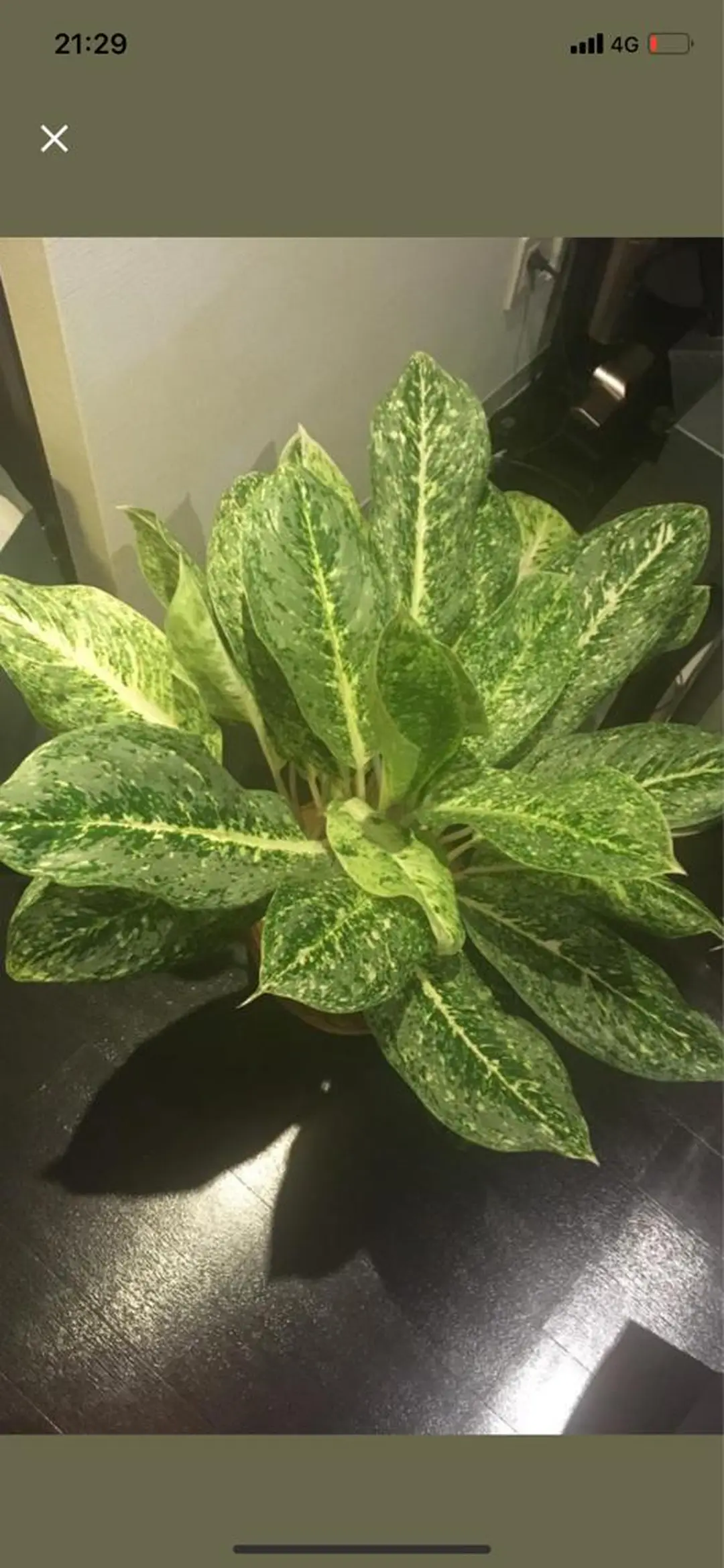 Mandarin Orange所属・毛穴から始める肌メン テマンダリンオレンジのエステ・リラクイメージ