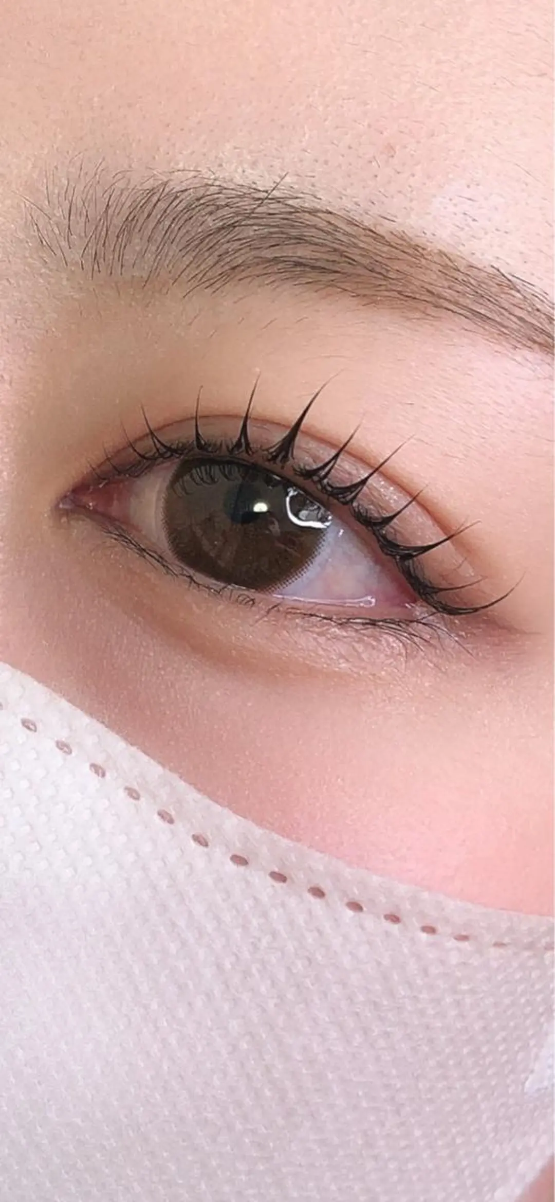 マツエク・マツパ ケラチンラッシュリフト Elene ˚✧₊東広島のマツエク・マツパデザイン