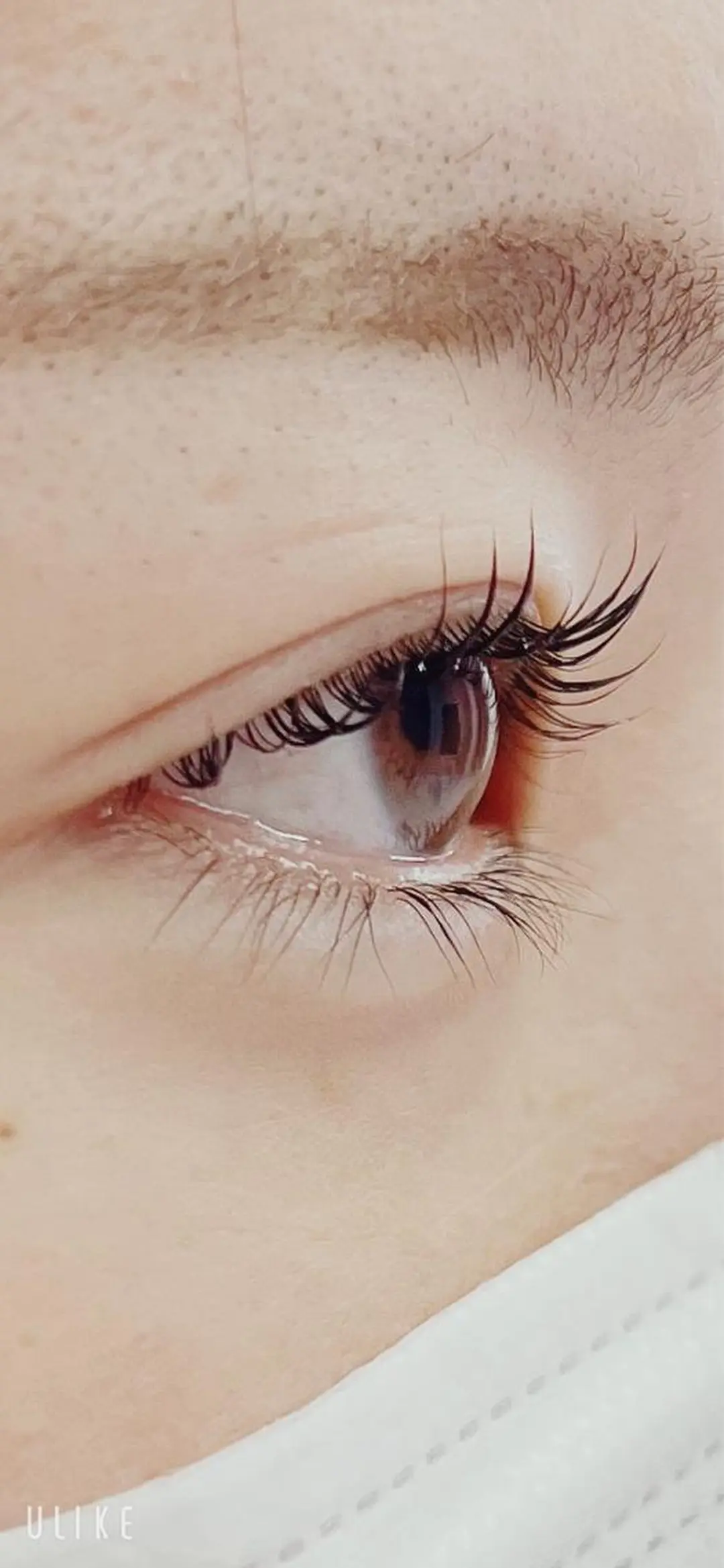 マツエク・マツパ TRUTH鎌ヶ谷💛 吉本のマツエク・マツパデザイン