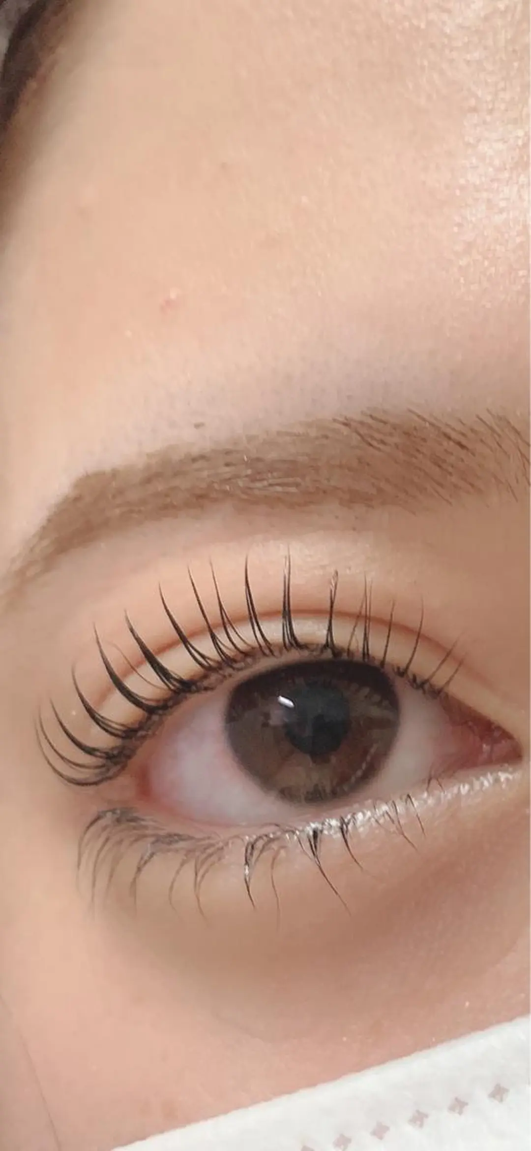 マツエク・マツパ マツパ eyelash la.lanのマツエク・マツパデザイン