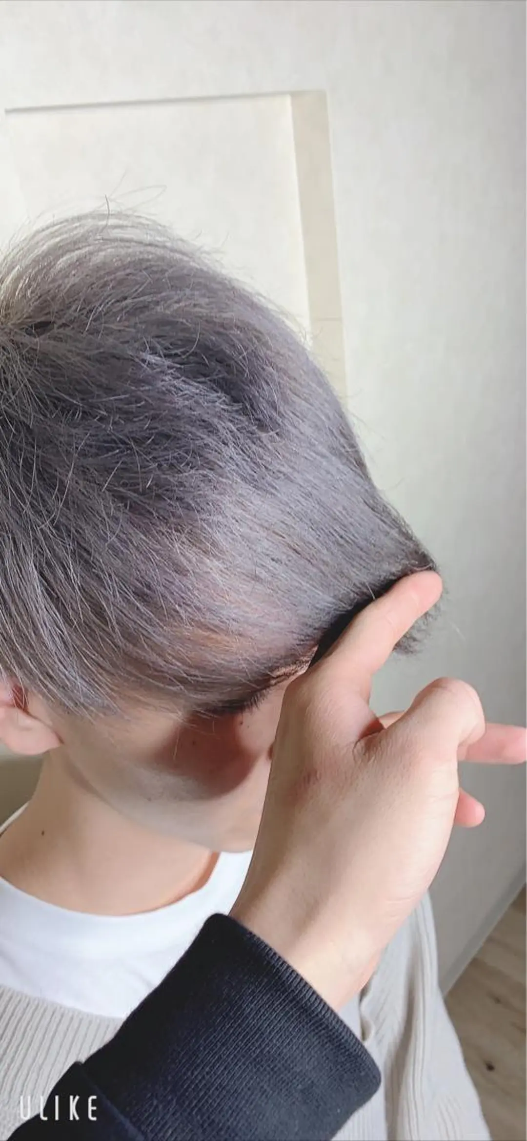 ショート メンズ アッシュ Lit所属・Lit.豊橋 夏目のヘアスタイル