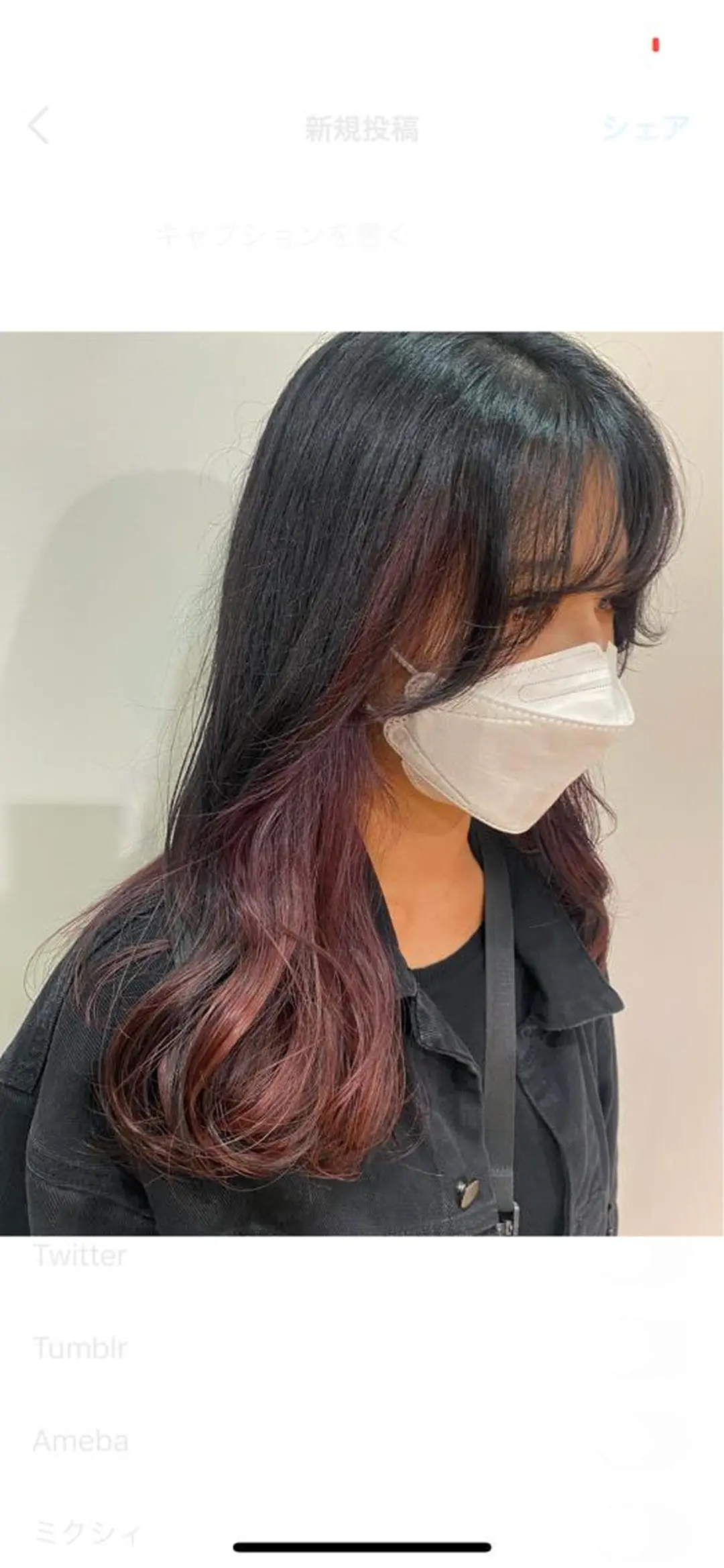 セミロング カラー カシス インナーカラー カット ヘアカラー トリートメント scene.池袋所属・scene. haraのヘアスタイル