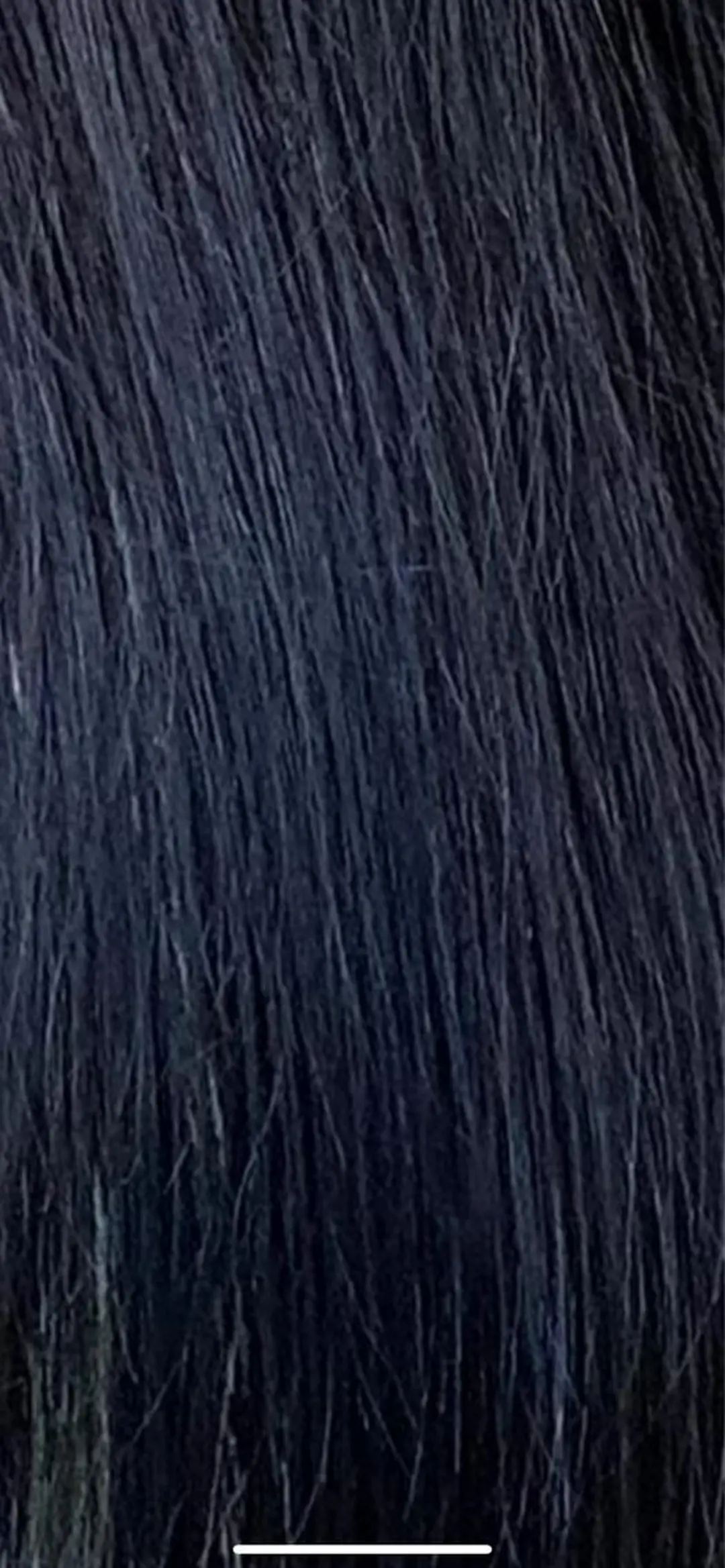 セミロング カラー 黒髪 ブルーカラー ブルーブラック カットモデル募集中 ✂️/平城秀馬/原宿のヘアスタイル