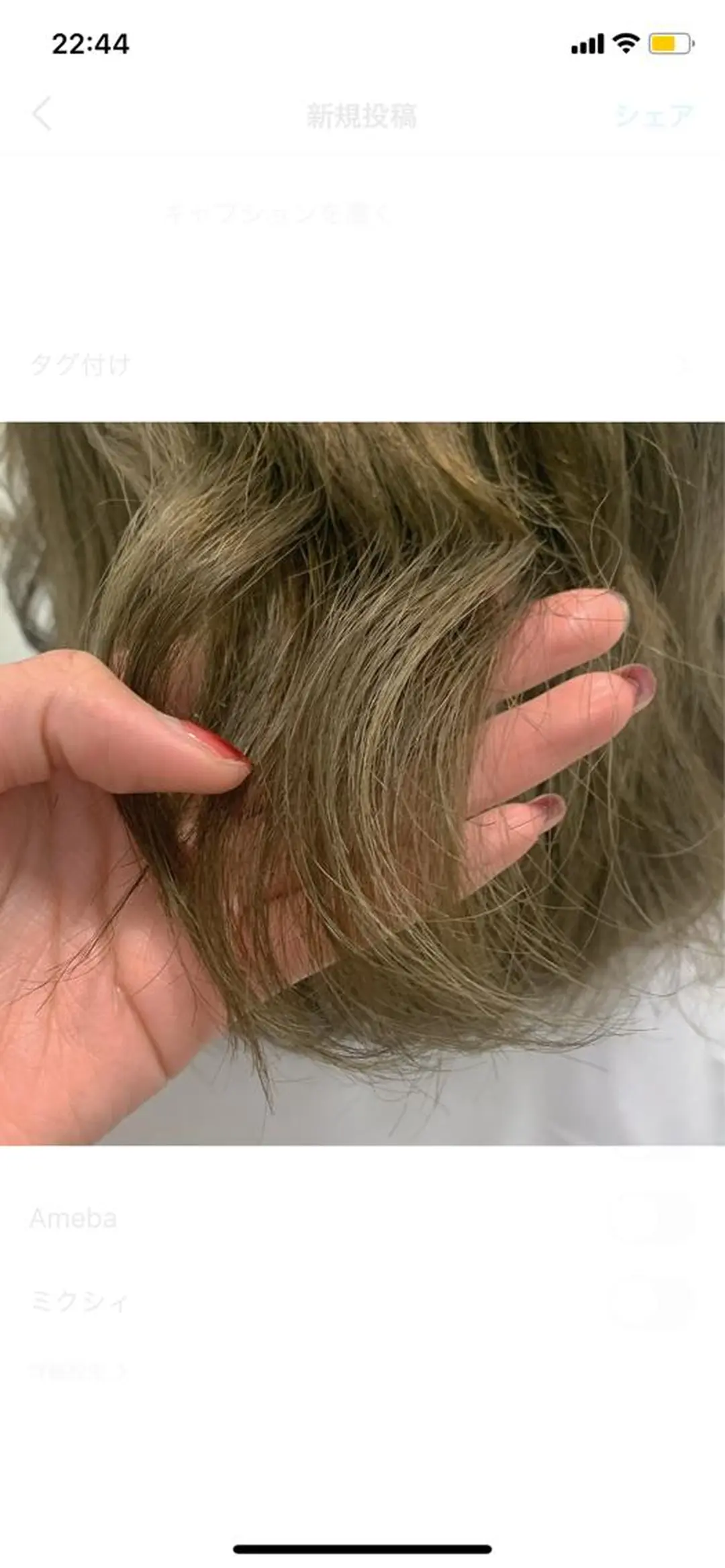 セミロング カラー アッシュ ハイライトカラー ハイライト 池本 梨奈のヘアスタイル