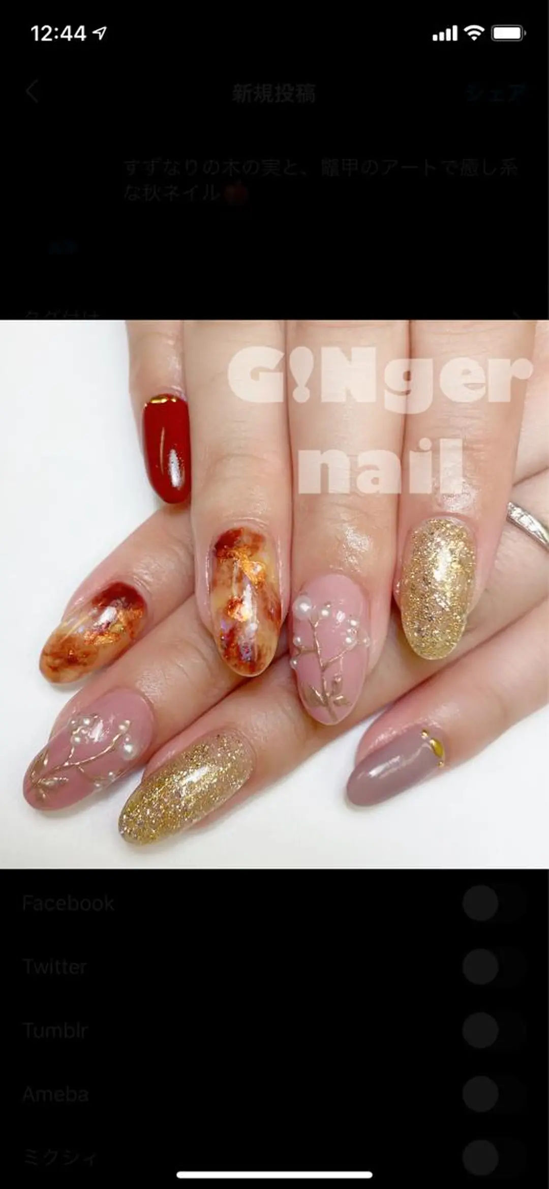 ネイル GINGER NAIL所属・代々木 GINGERNAILのネイルデザイン