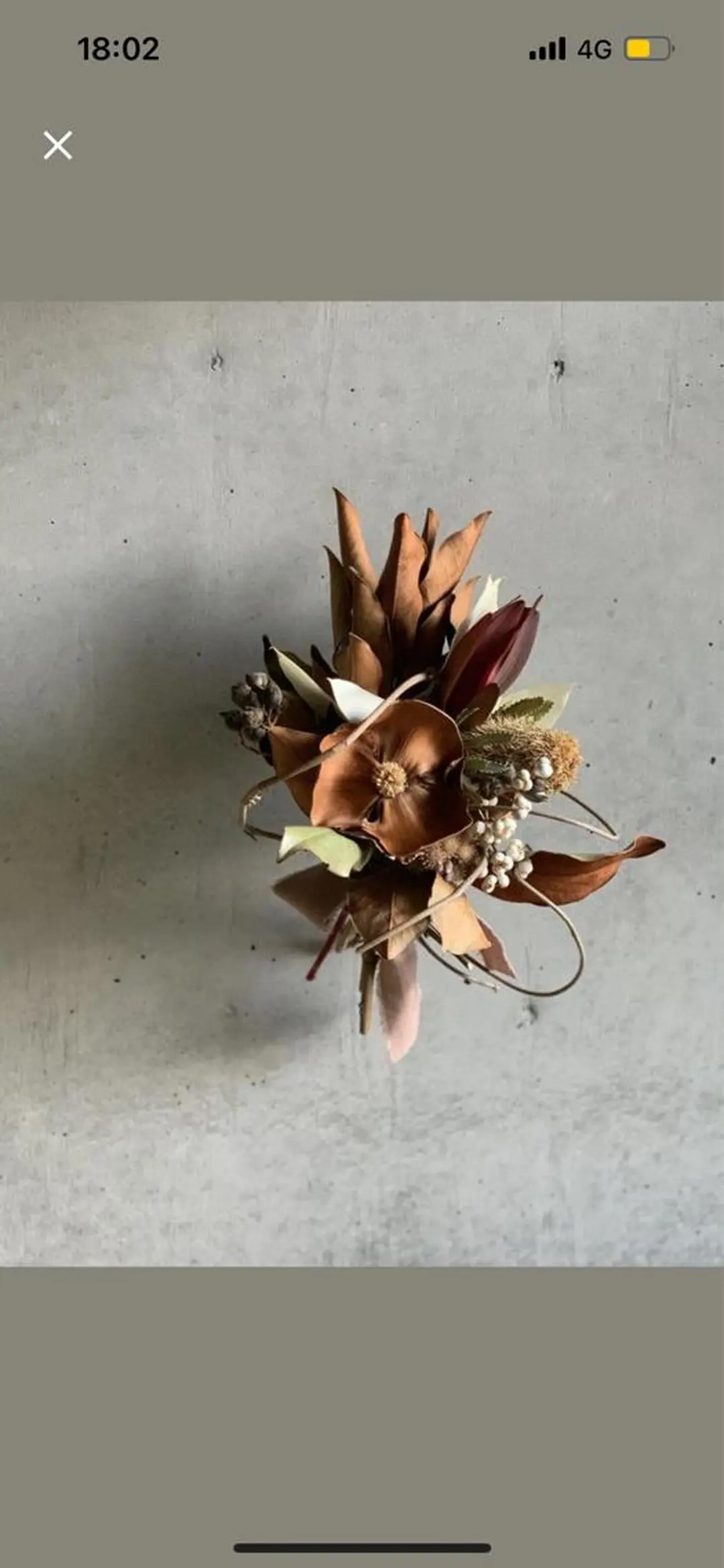 oyanagi 〰️の眉毛・アイブロウイメージ