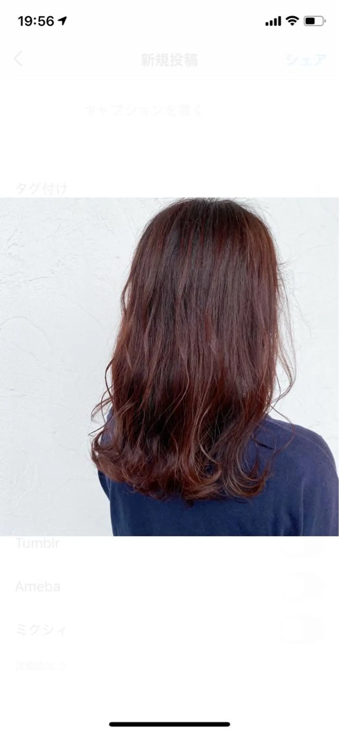 セミロング 成瀬 千佳のヘアスタイル