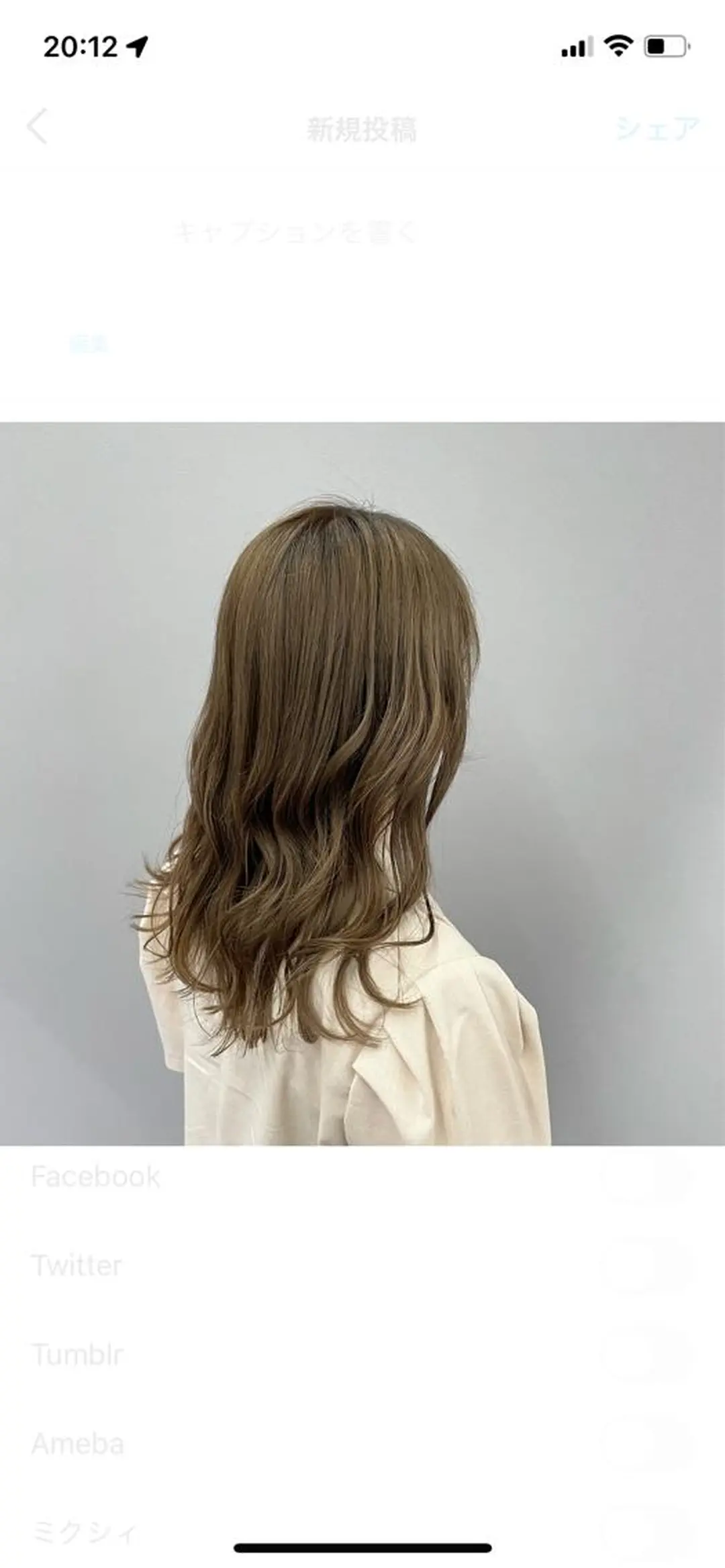 セミロング カラー piLLon/ RYUKAのヘアスタイル