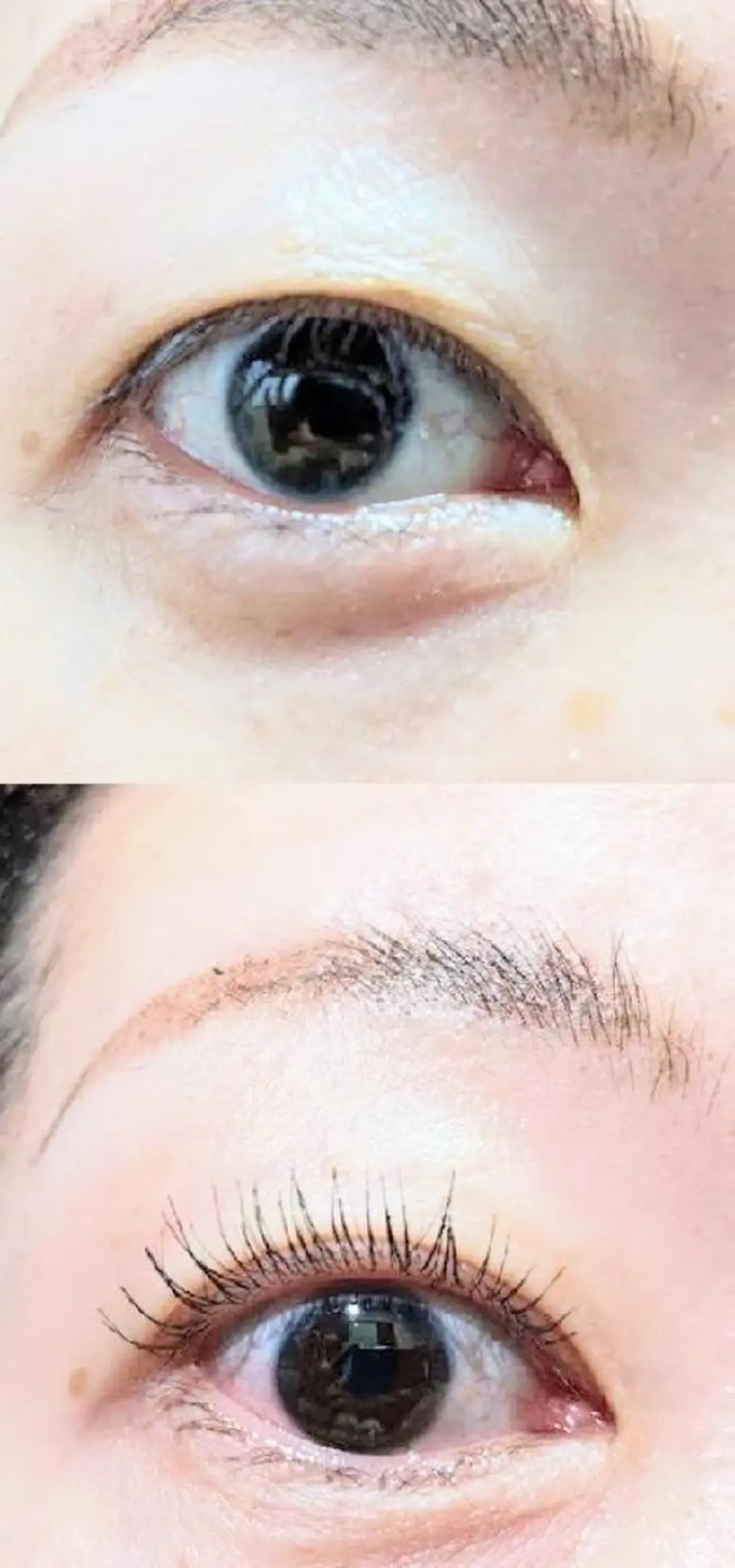 マツエク・マツパ パリジェンヌラッシュリフト マツパ chaler 　シャルーレ所属・シャルーレ chalerのマツエク・マツパデザイン