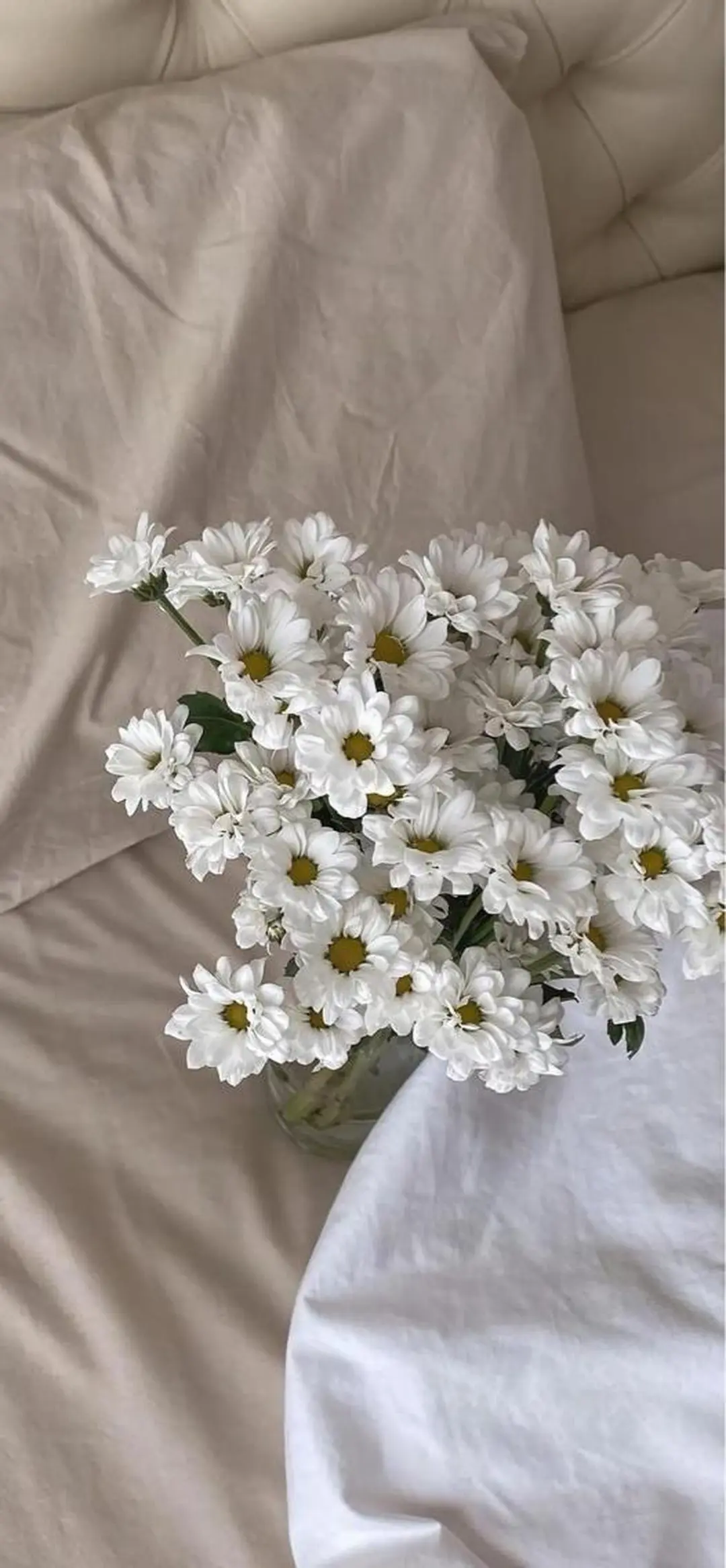 マツエク・マツパ bloom ＊のマツエク・マツパデザイン