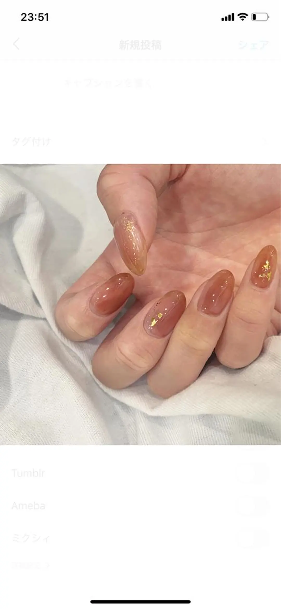 ネイル 寺田 遥菜のネイルデザイン