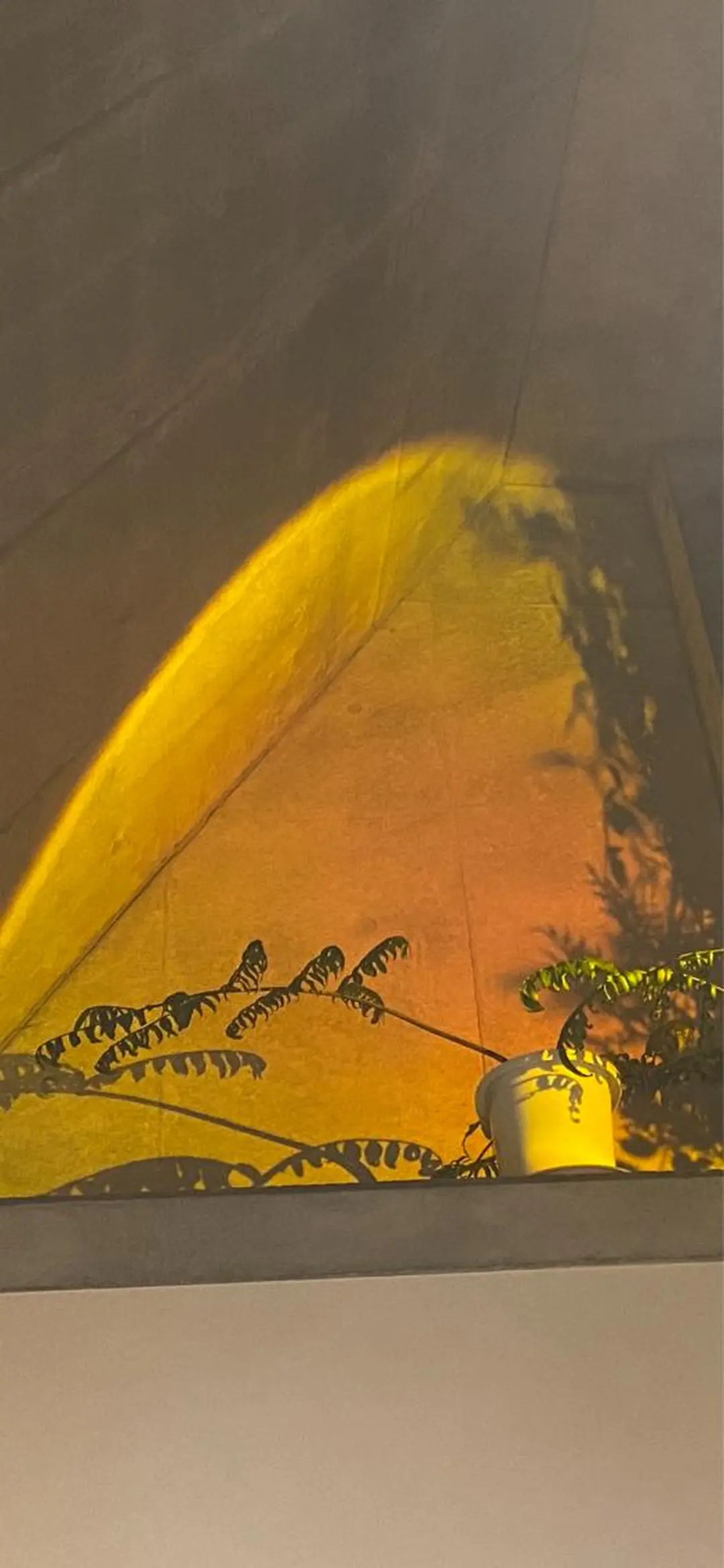 Mandarin Orange所属・毛穴から始める肌メン テマンダリンオレンジのエステ・リラクイメージ