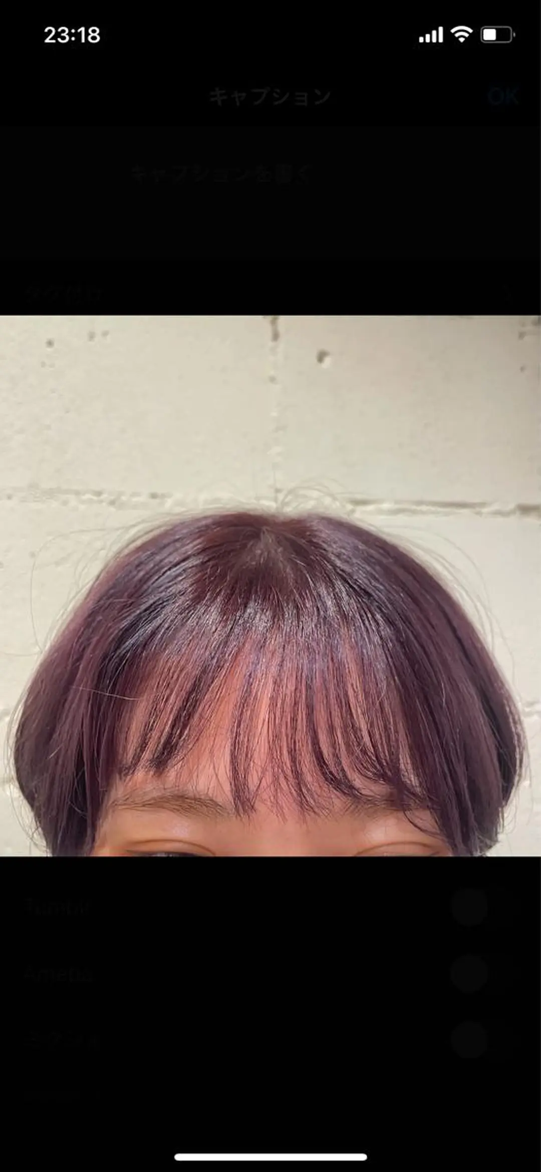 ショート カラー ラベンダーカラー アンサイ 成増のヘアスタイル