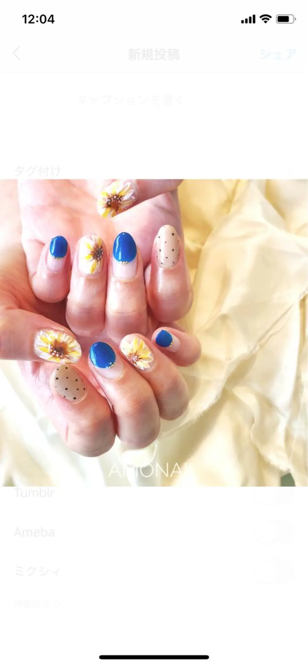 ネイル アートネイル ニュアンスネイル ハンドネイル 唐笠 祥子のその他イメージ