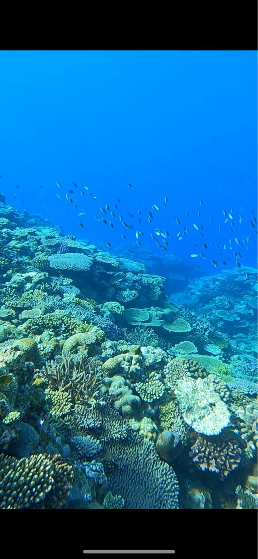 当日予約⭕️ keng.のヘアスタイル