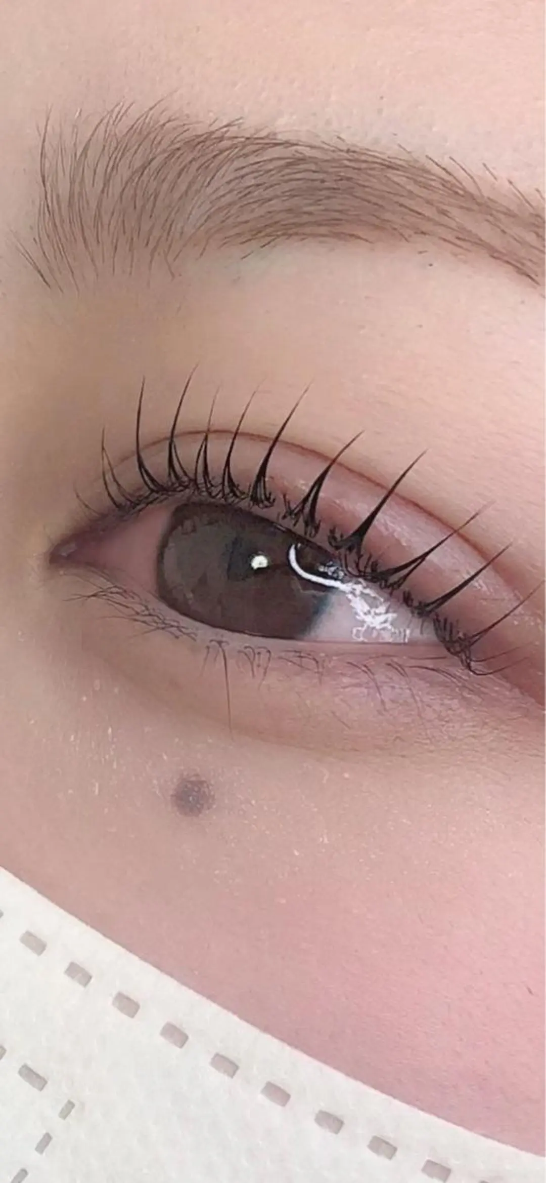 マツエク・マツパ Elene  エレーヌ所属・Elene ˚✧₊東広島のマツエク・マツパデザイン