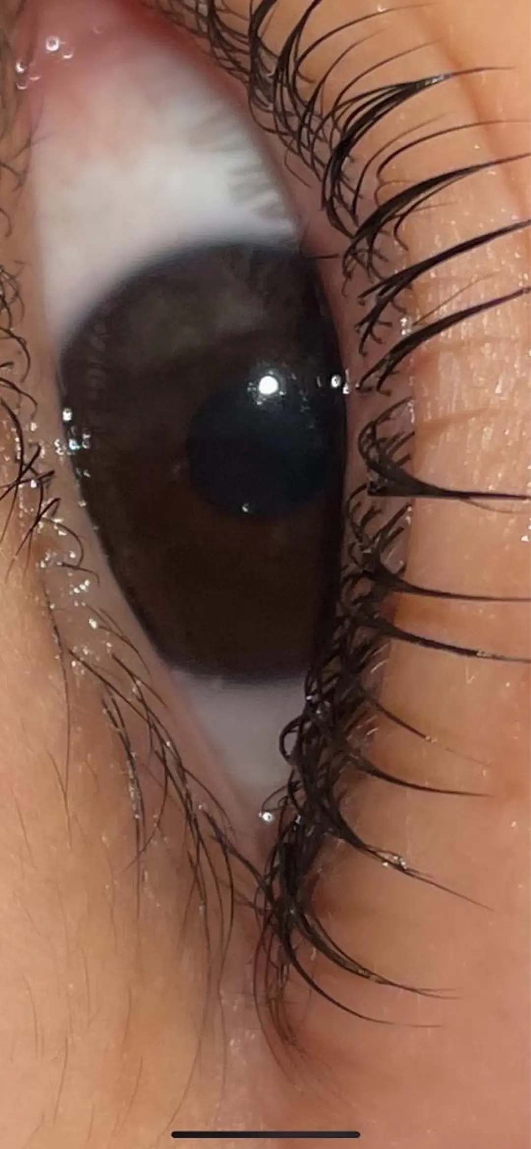 マツエク・マツパ eye lash salon SIDのマツエク・マツパデザイン