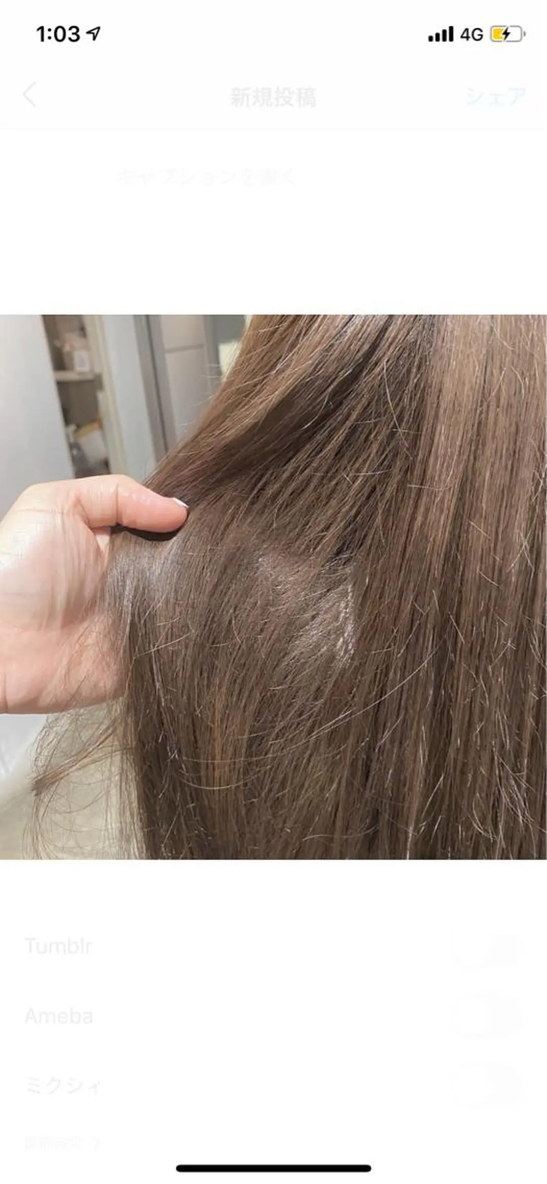 ロング dipty MOILA所属・辻 貴音のヘアスタイル