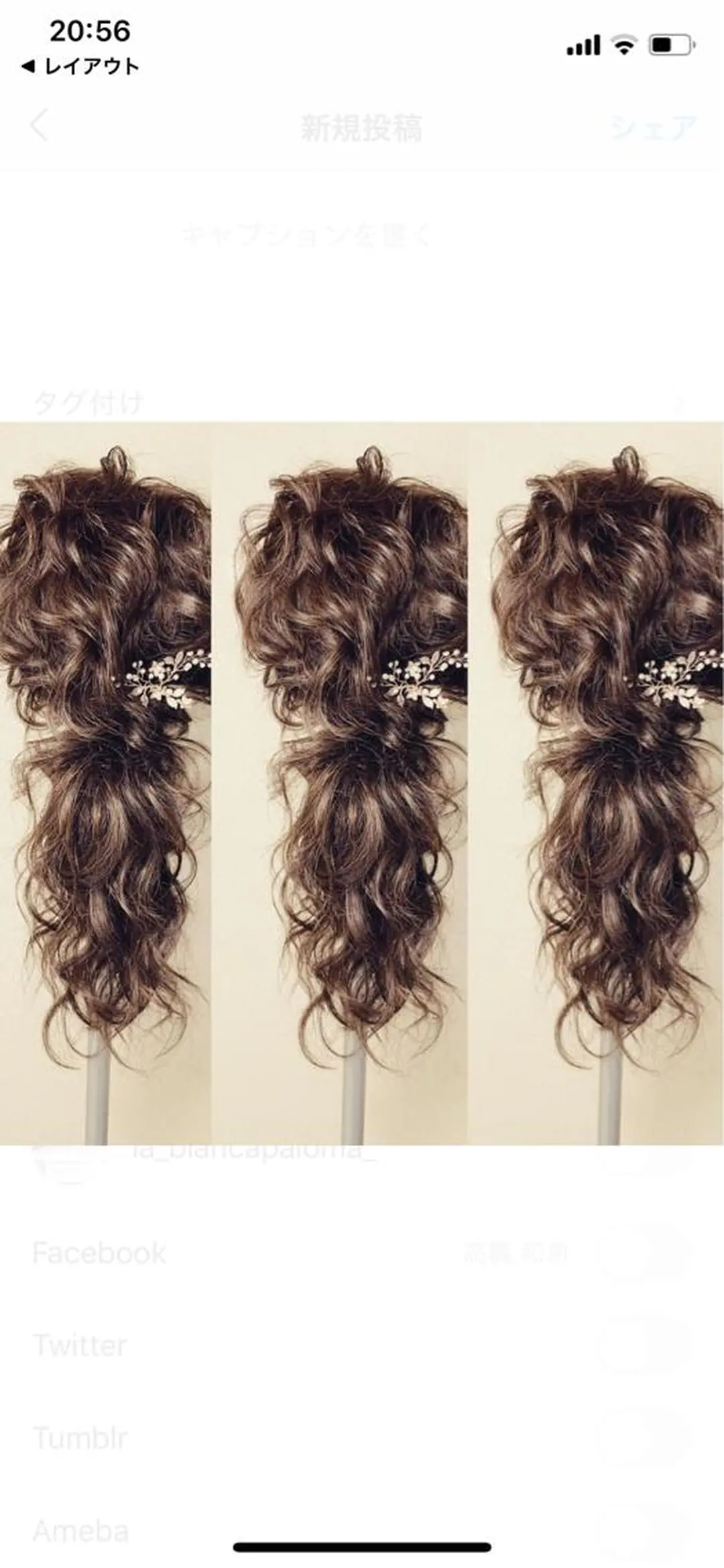 セミロング 堀 和恵の眉毛・アイブロウイメージ