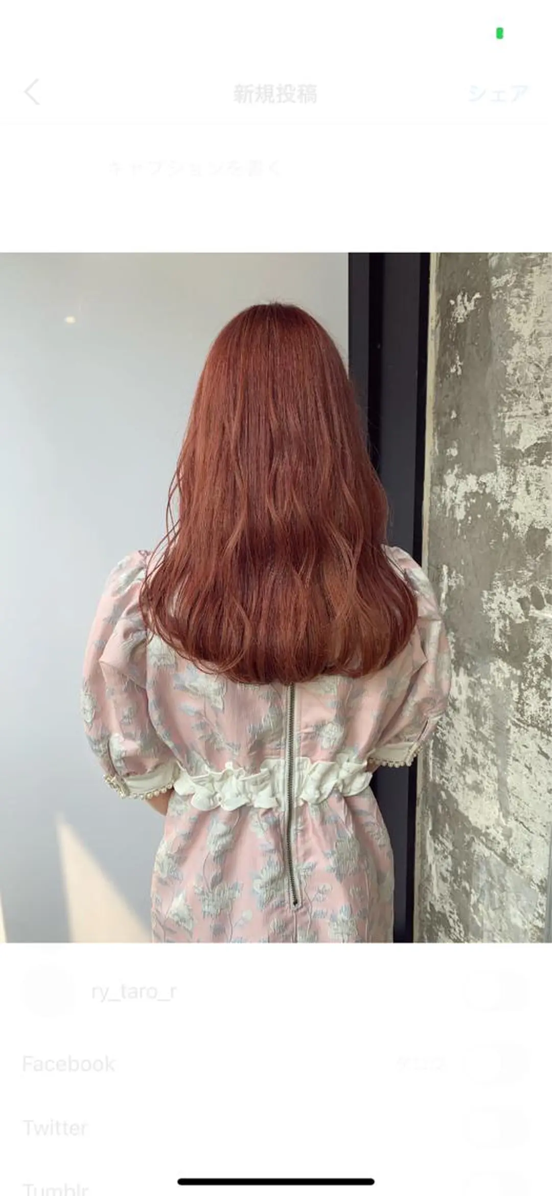 ロング カラー ピンクカラー ヘアカラー トリートメント 🎀taro ブリーチなしカラーのヘアスタイル
