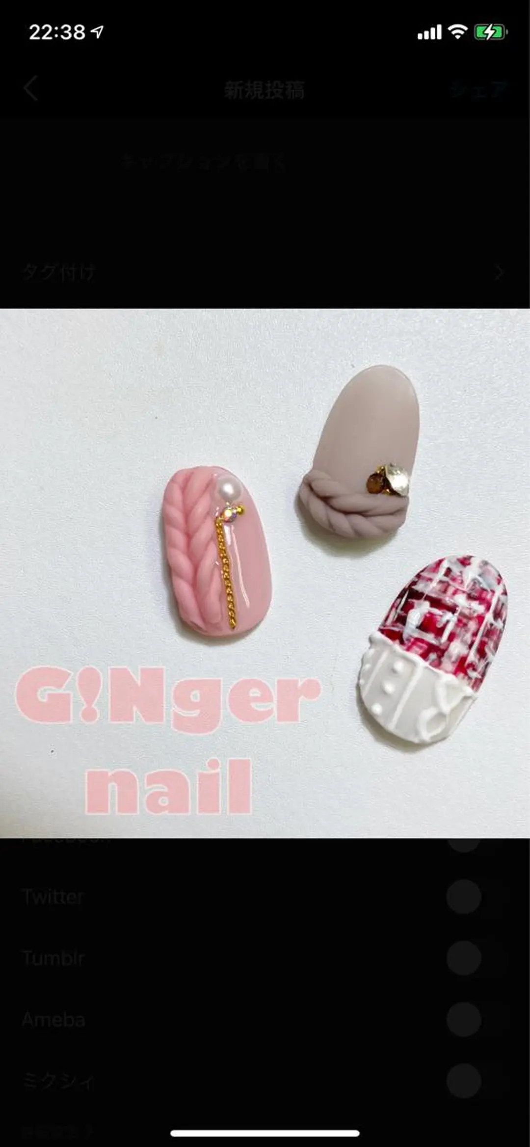 ネイル GINGER NAIL所属・代々木 GINGERNAILのネイルデザイン