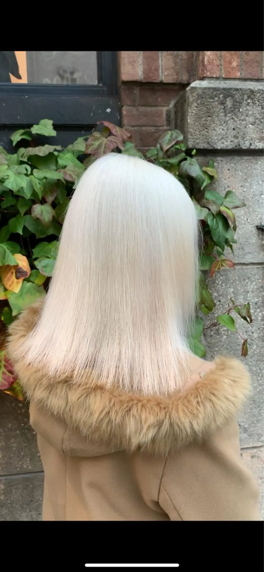 ミディアム カラー ヘアカラー トリートメント サロウィン(SALOWIN)原宿iori店所属・れい🫧 ハイトーン特化のヘアスタイル