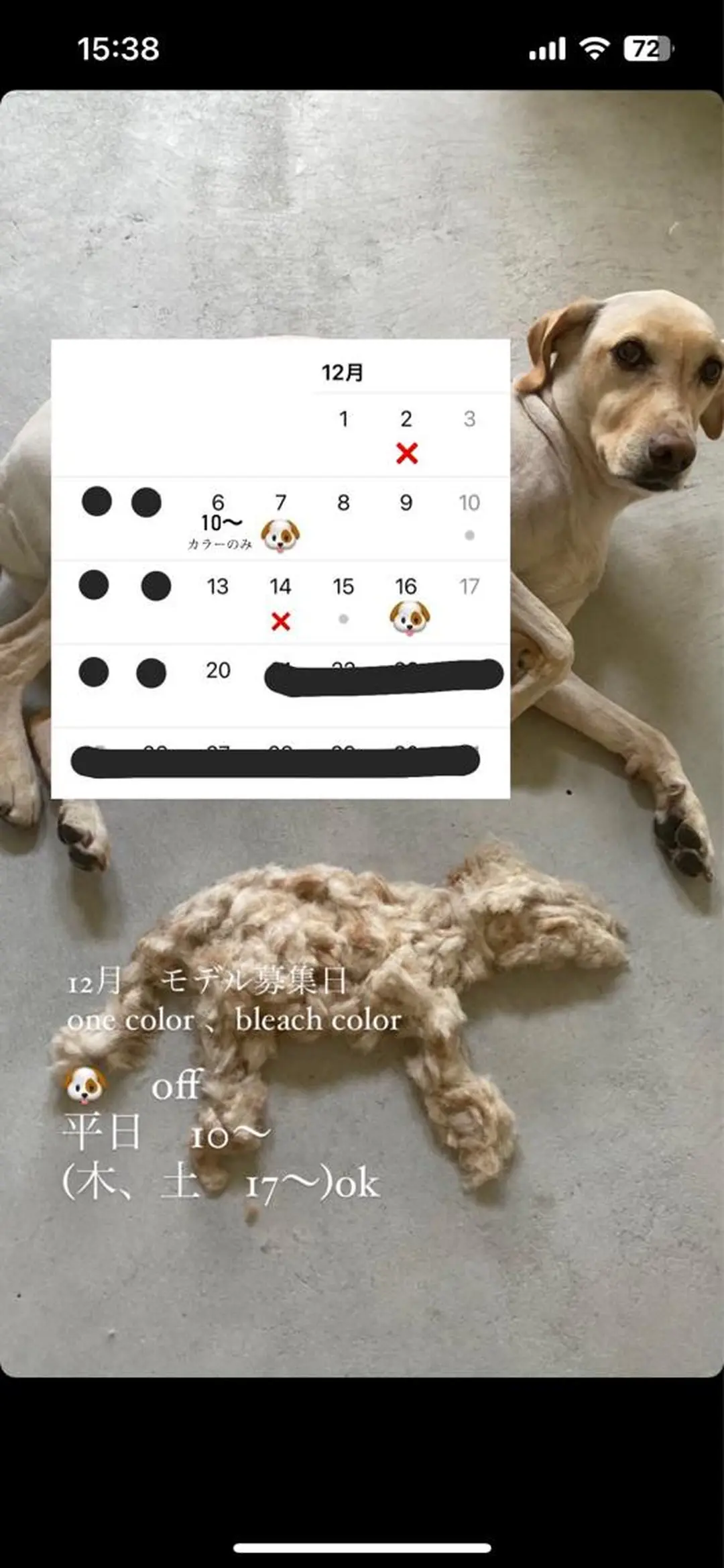 カラー sliver renのヘアスタイル